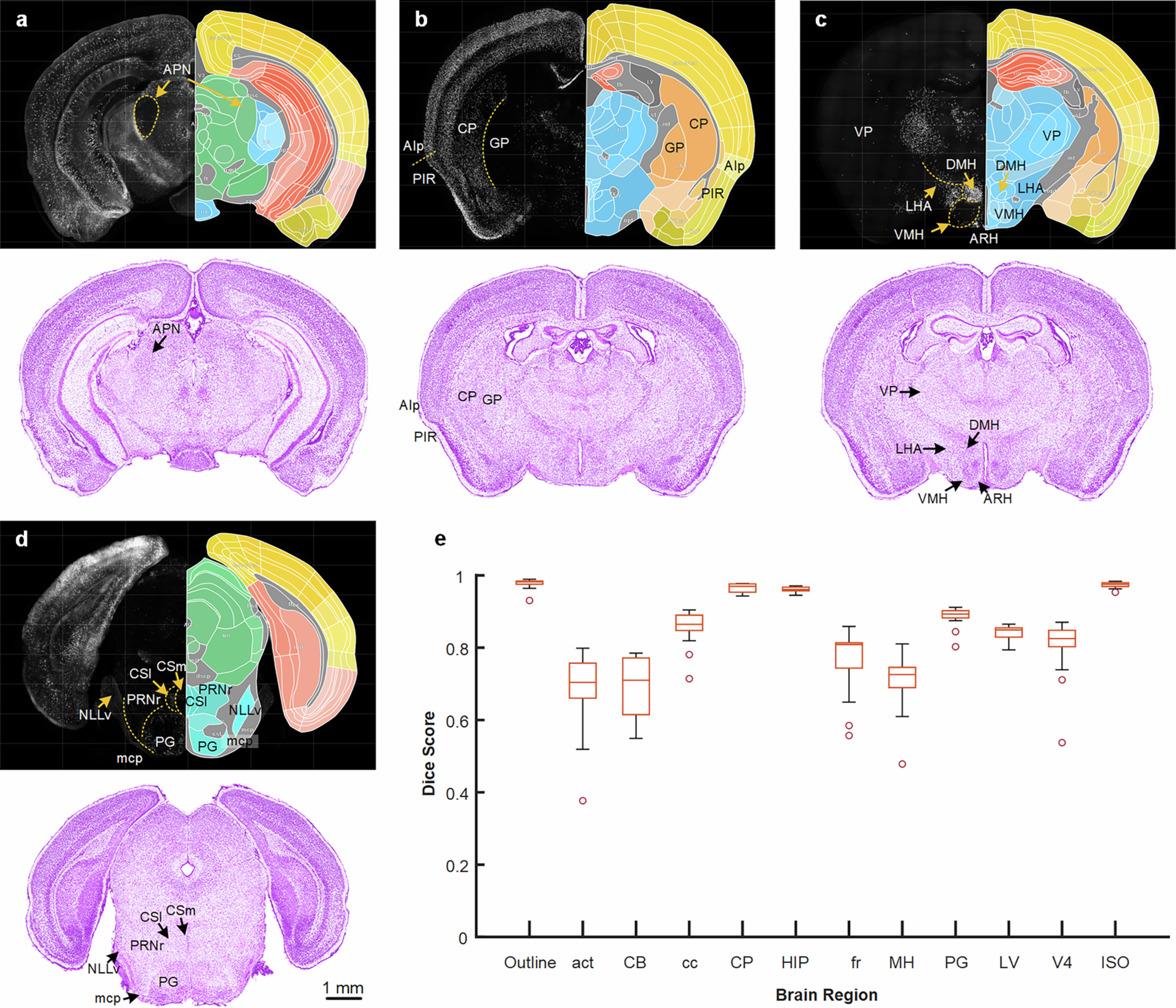 Extended Data Fig. 4: Specific gene-type neuron distributions aid structural delineation.