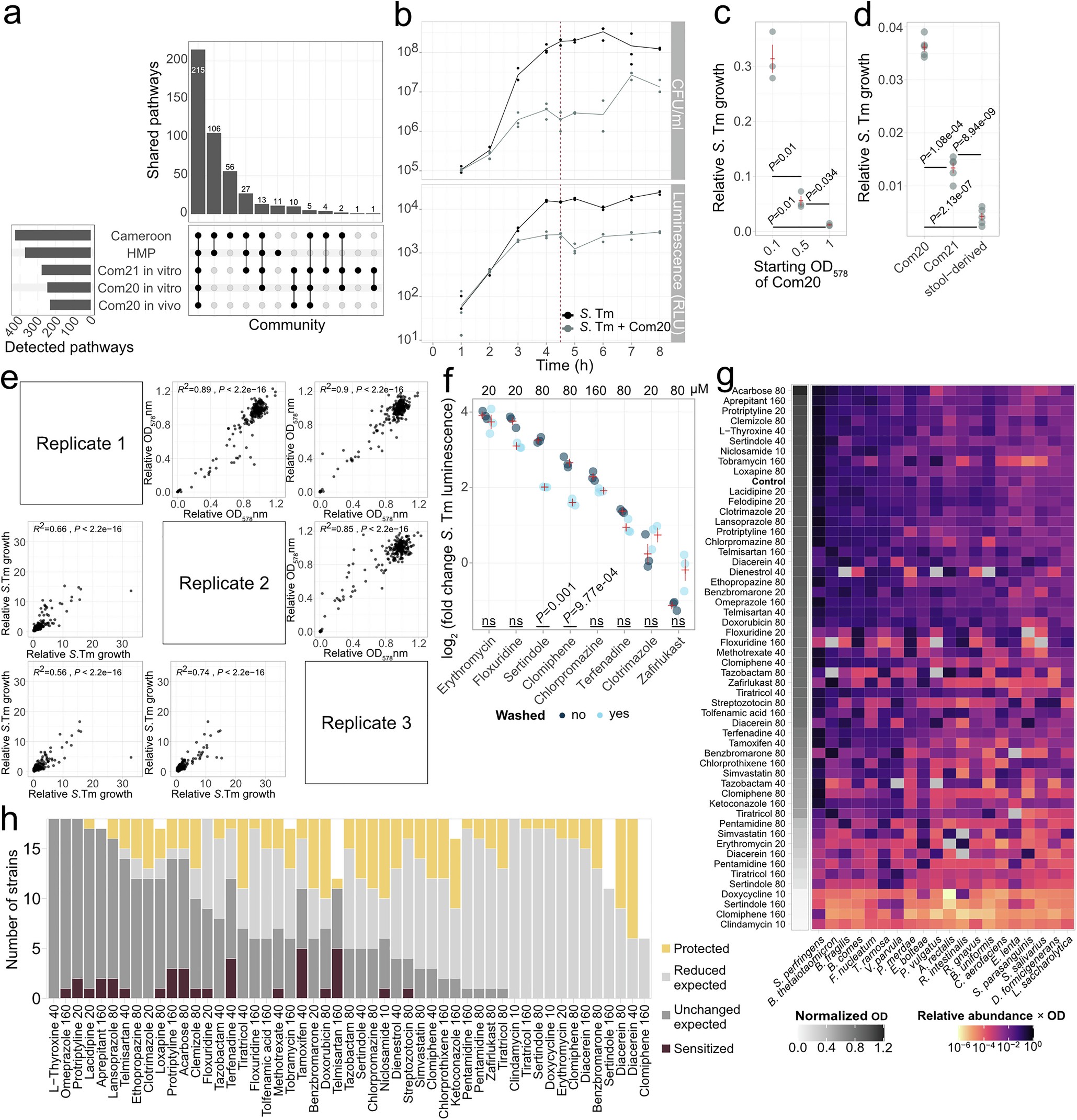 Extended Data Fig. 4: Com20 broadly recapitulates the functional potential of the human gut microbiome, reduces the growth of S. Tm and allows the emergence of complex ecological dynamics in vitro.