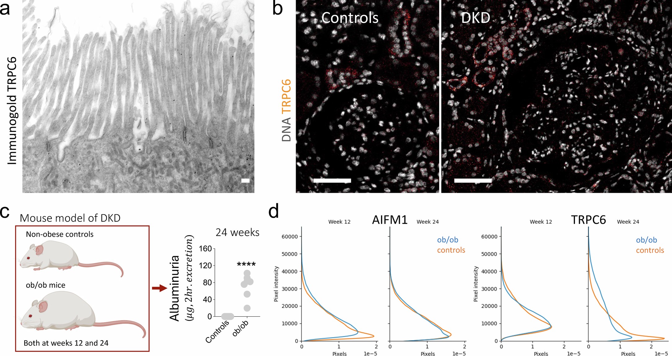 Extended Data Fig. 6