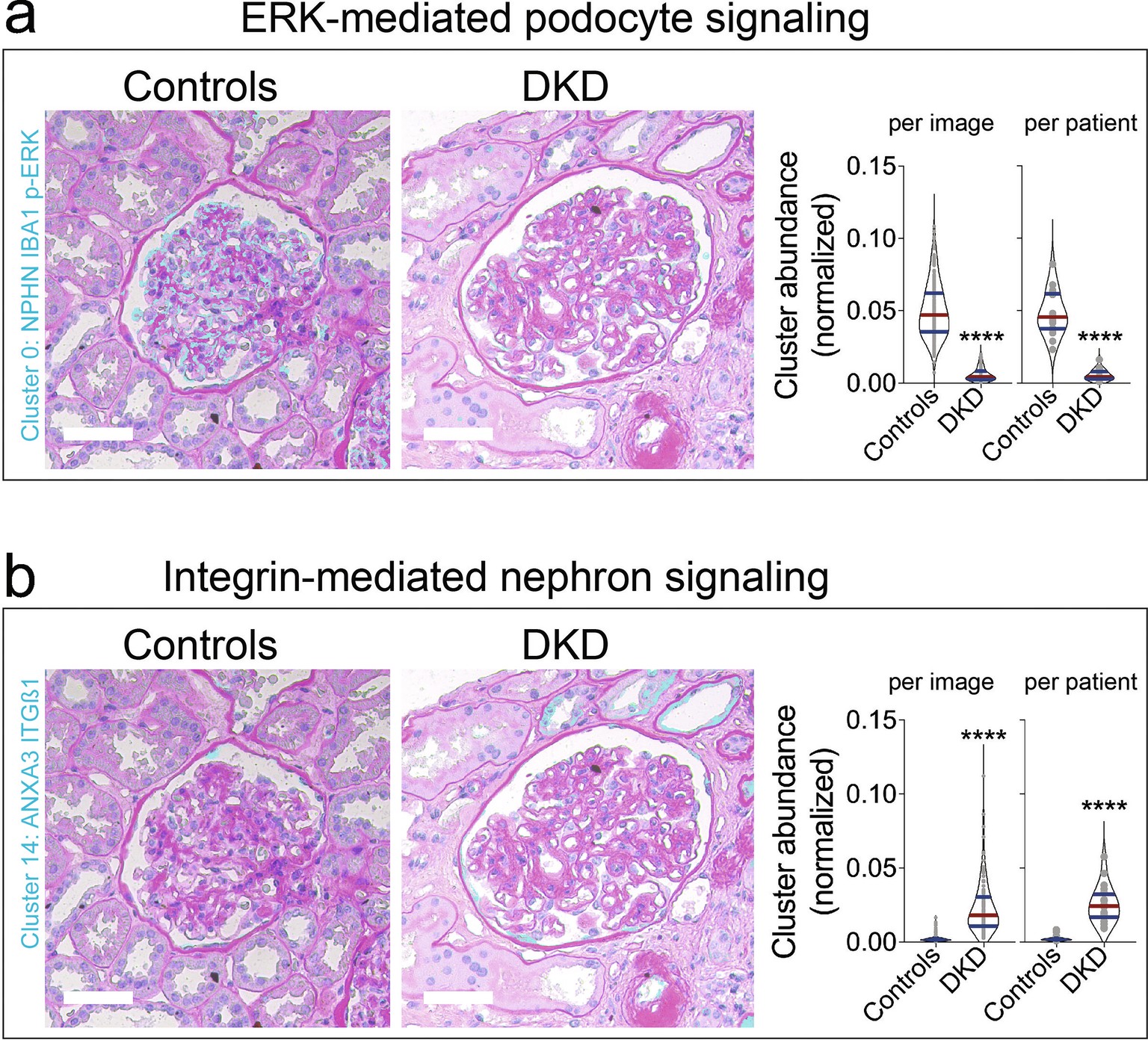 Extended Data Fig. 7