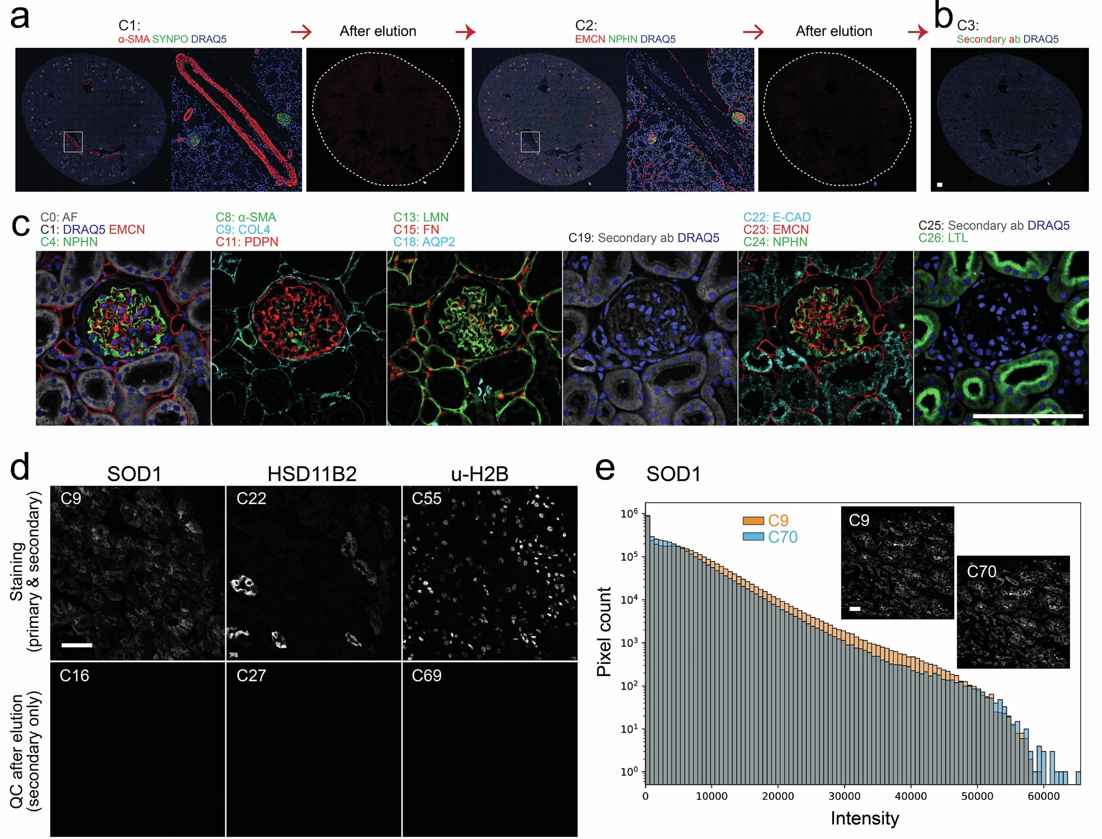 Extended Data Fig. 1