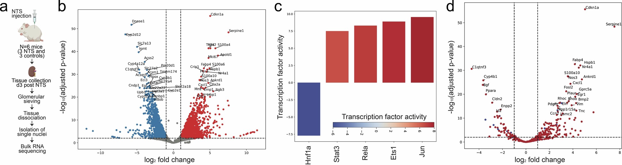 Extended Data Fig. 4