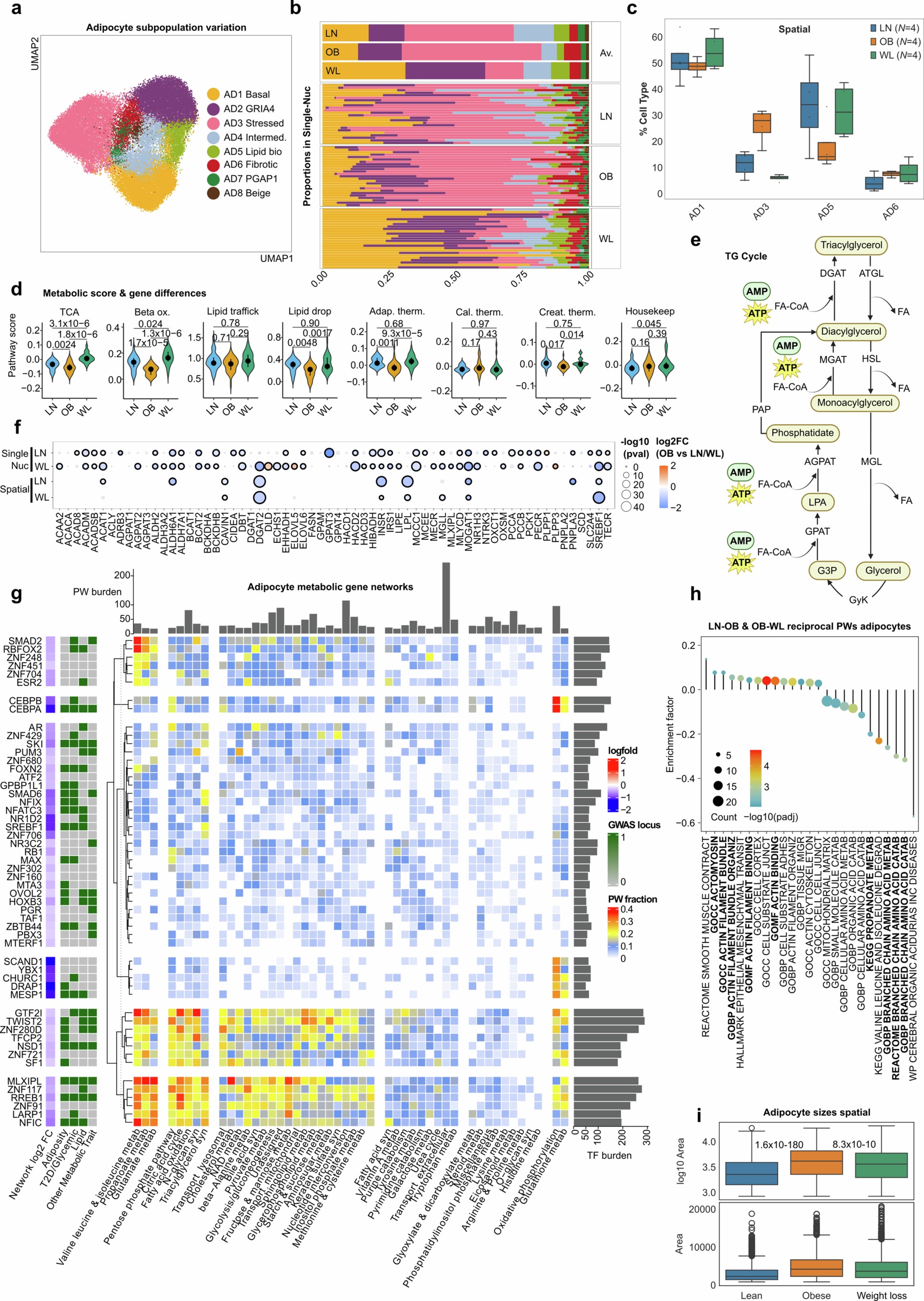Extended Data Fig. 4