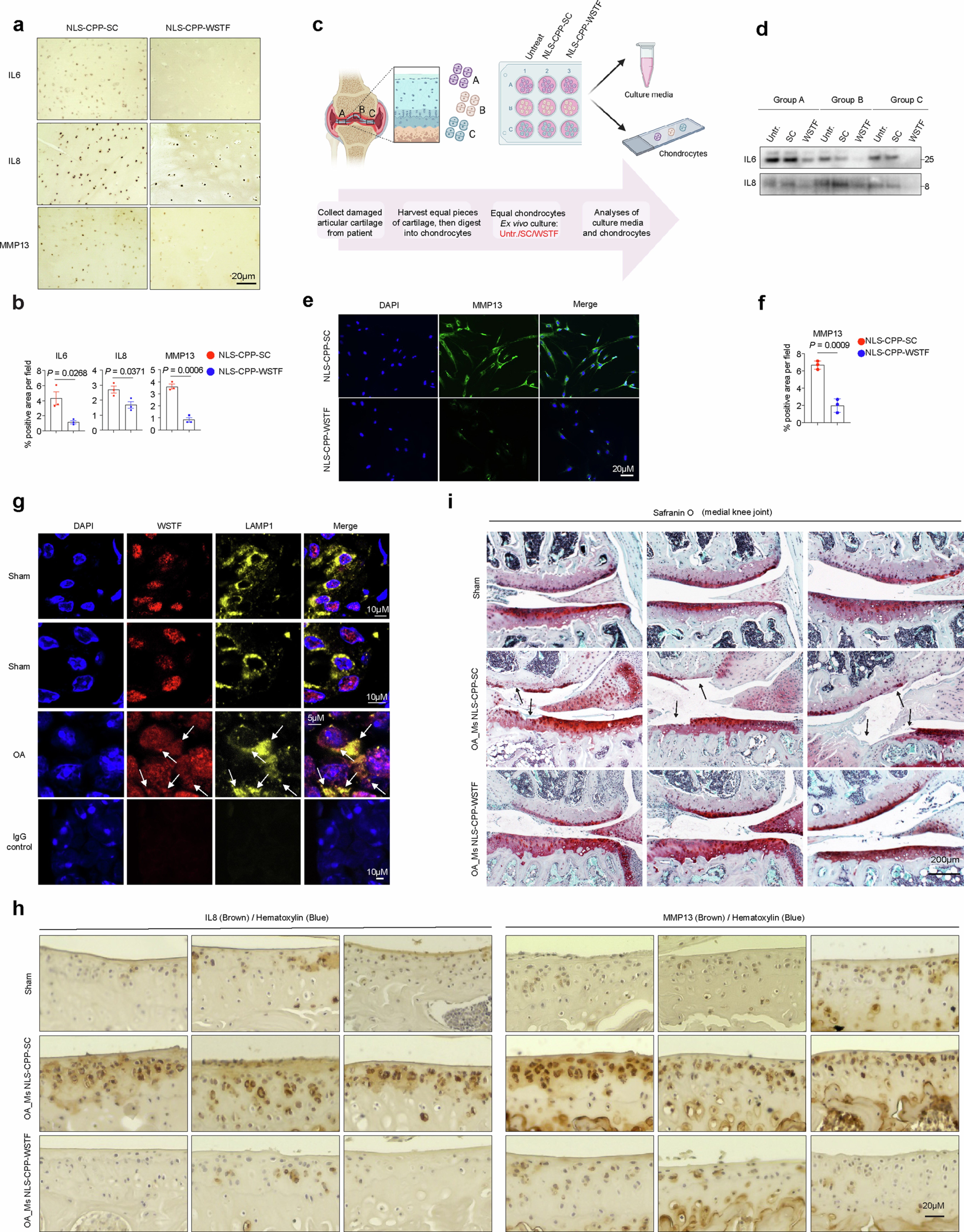 Extended Data Fig. 12