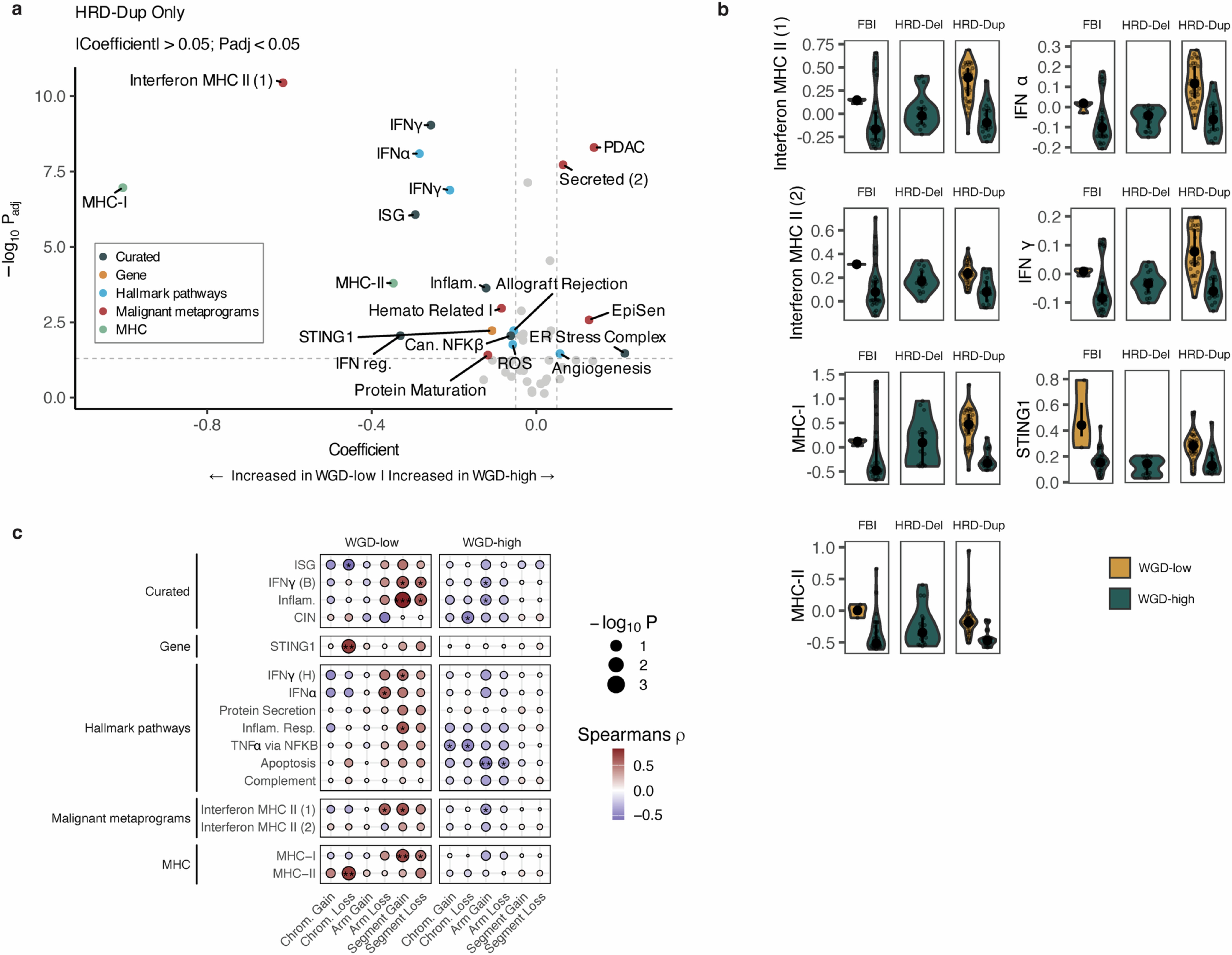 Extended Data Fig. 7: Tumor cell phenotypes in the context of WGD and mutation signatures.