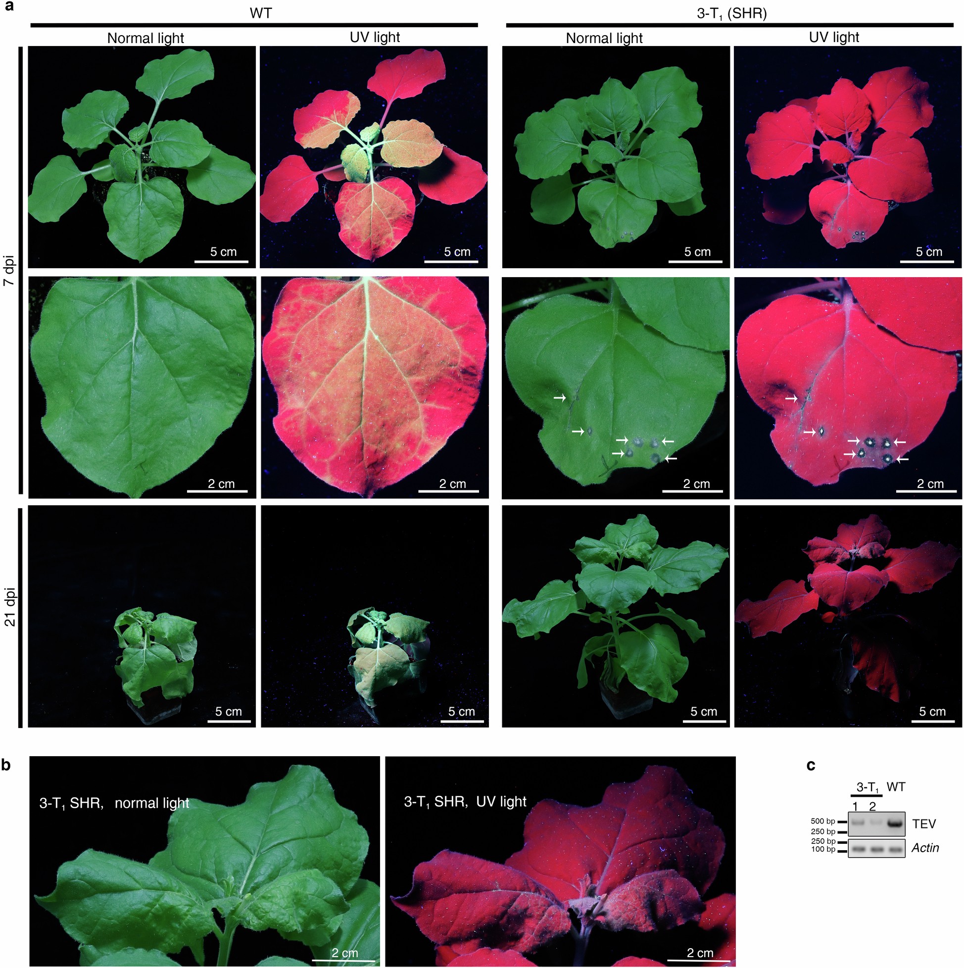 Extended Data Fig. 9