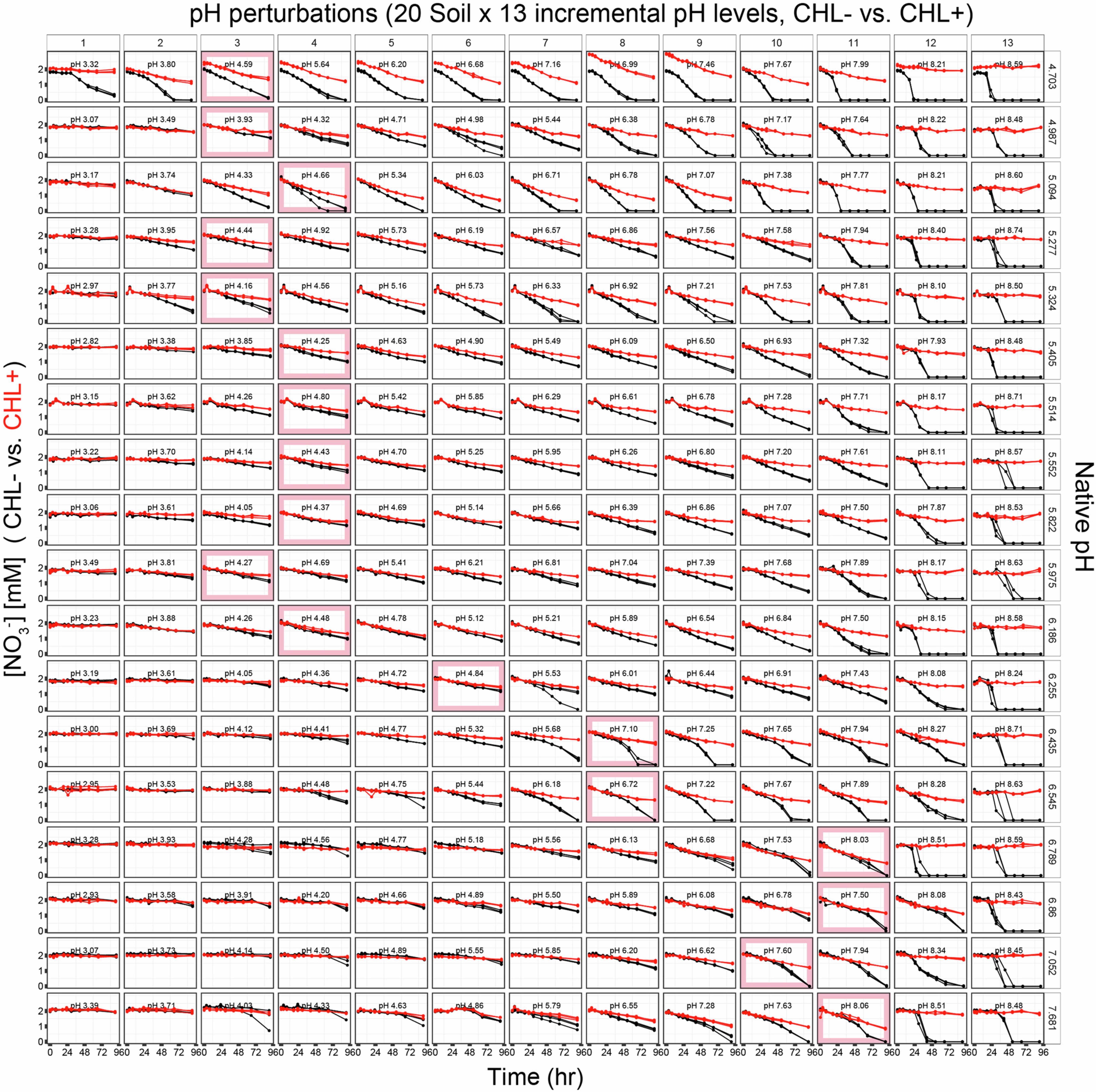 Extended Data Fig. 1: Nitrate dynamics of chloramphenicol untreated (CHL−) and treated (CHL+) conditions in the dataset.