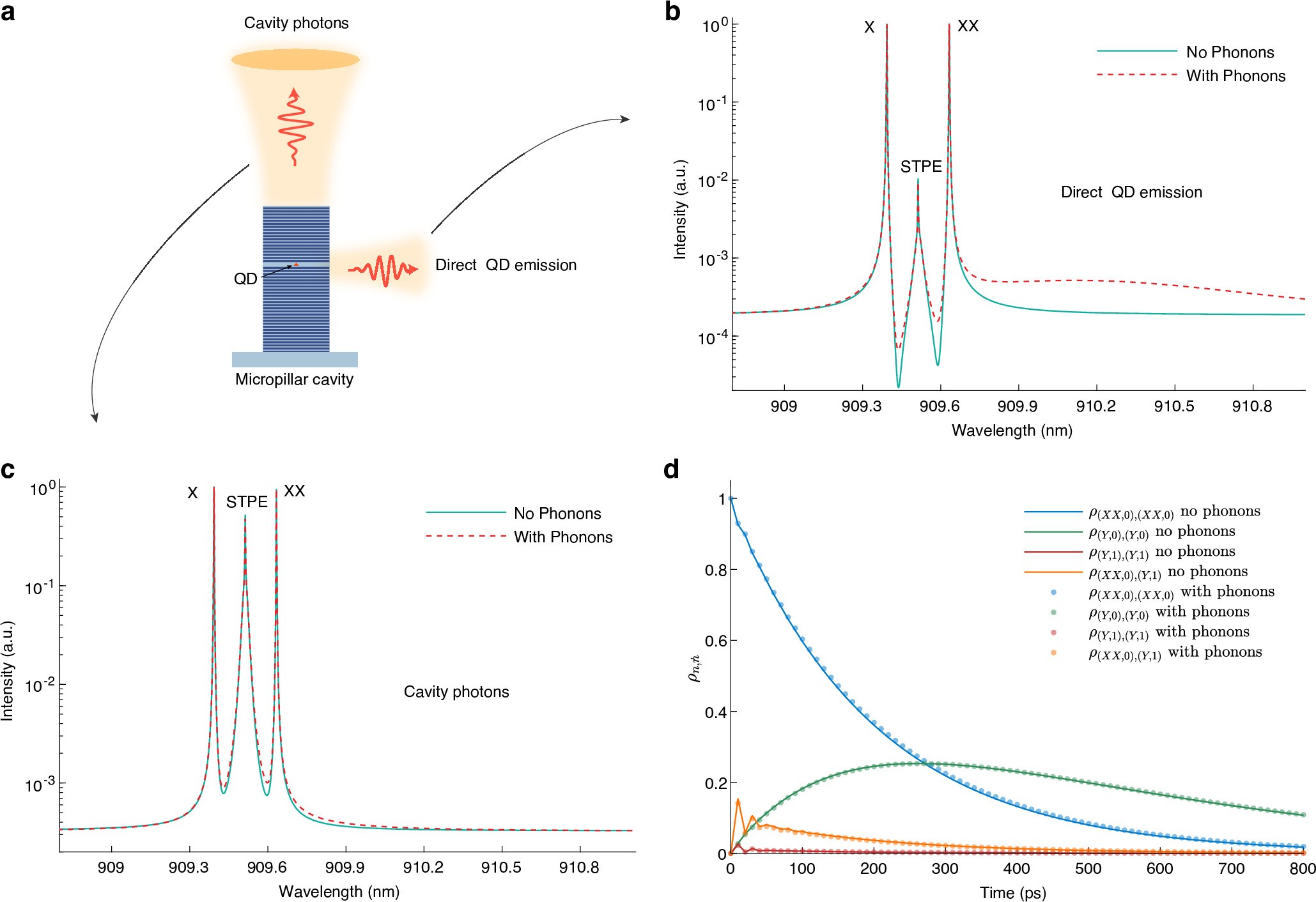 Extended Data Fig. 5: Evaluation of the single-photon contribution via the phonon-assisted process to STPE.