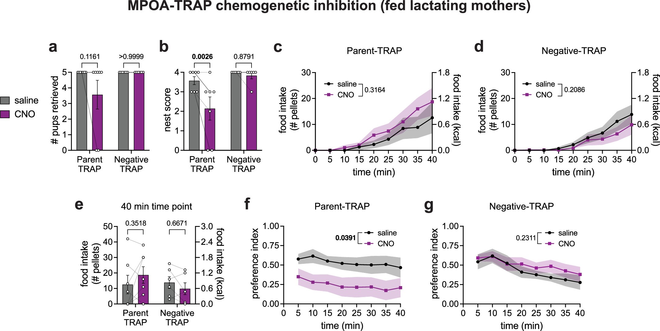 Extended Data Fig. 5: Inhibition of parenting neurons in MPOA reduces parenting in fed lactating mothers.