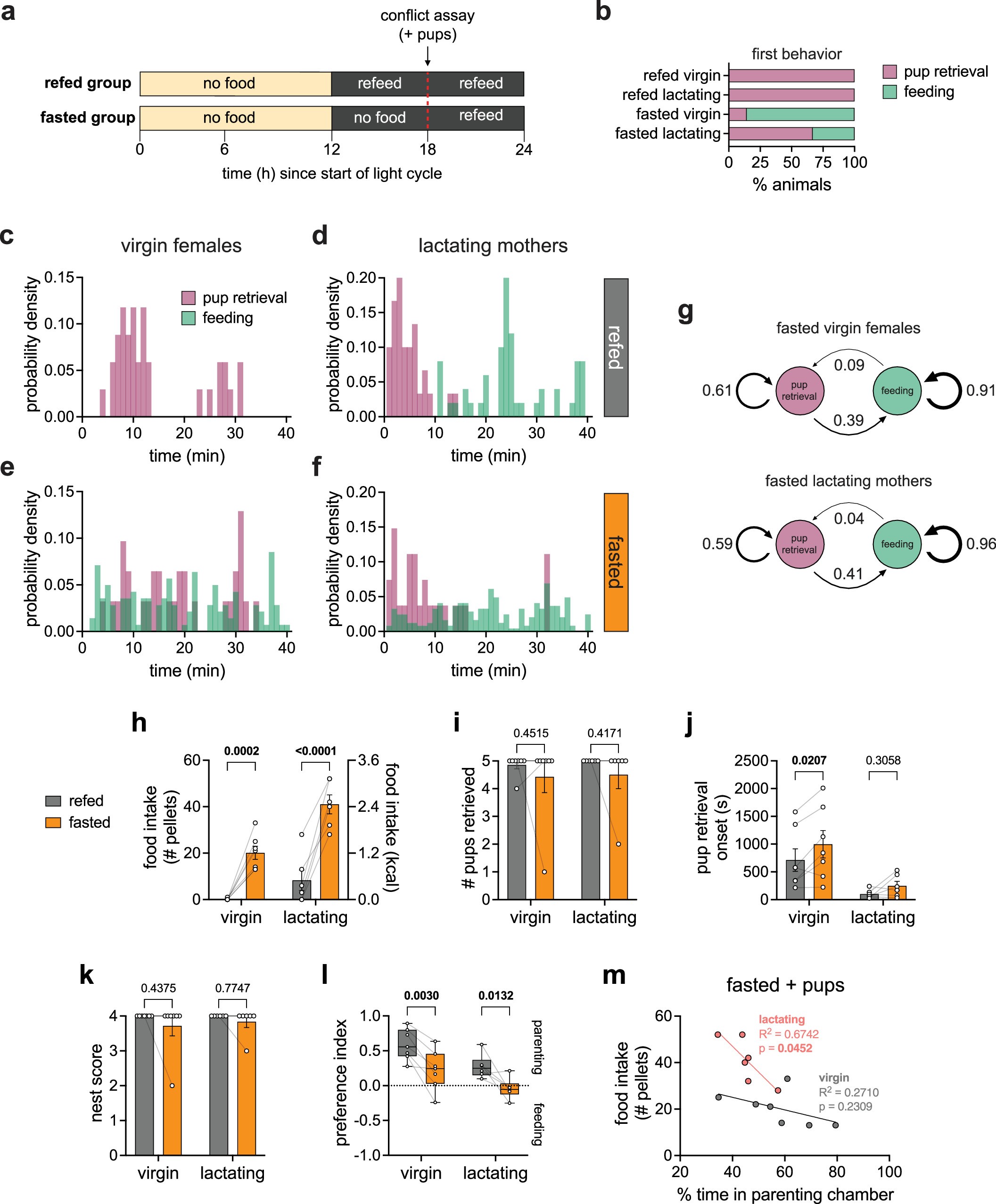 Extended Data Fig. 3: Hunger delays and reduces parenting behaviors in virgin females and lactating mothers in the dark cycle.