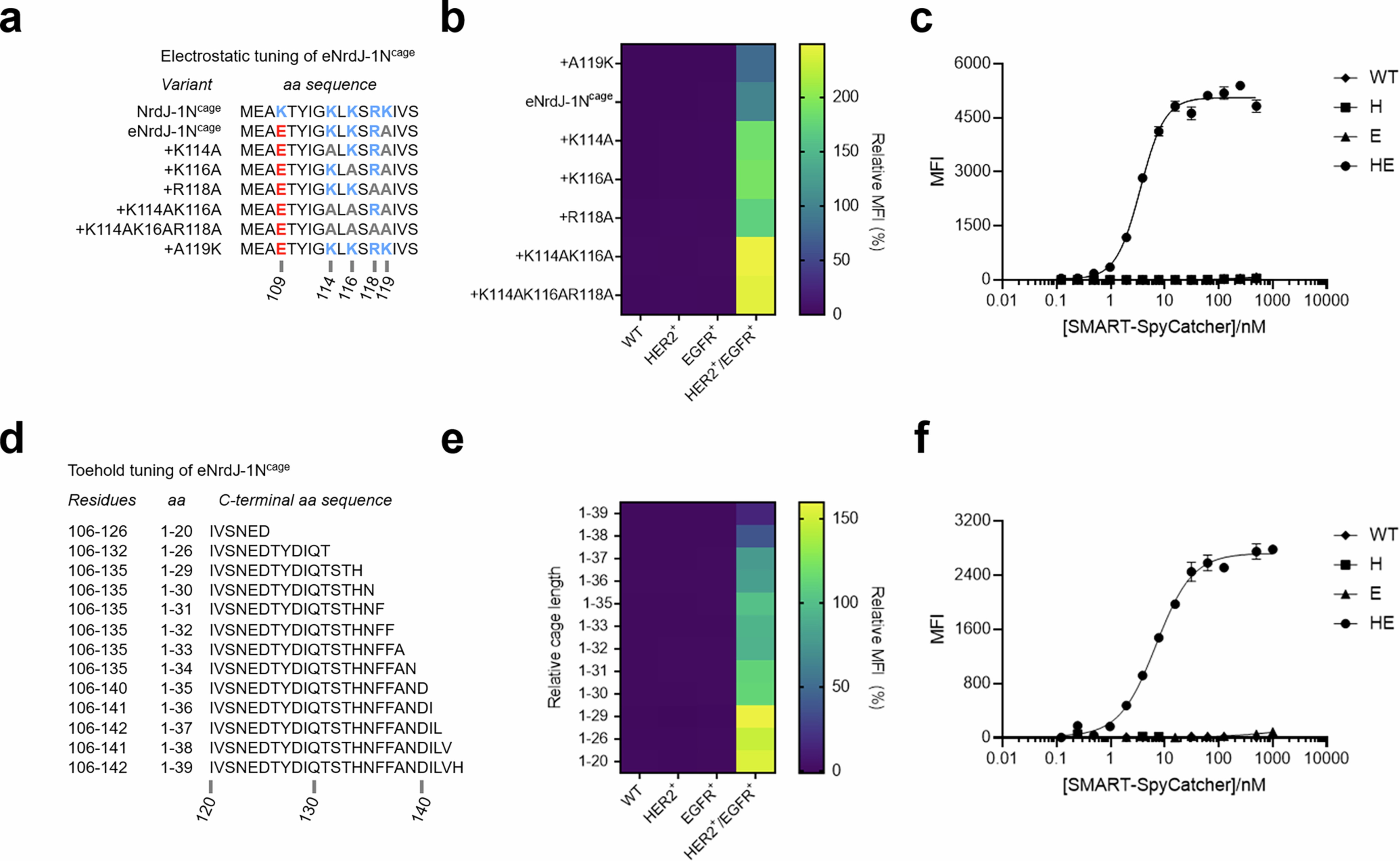 Extended Data Fig. 5