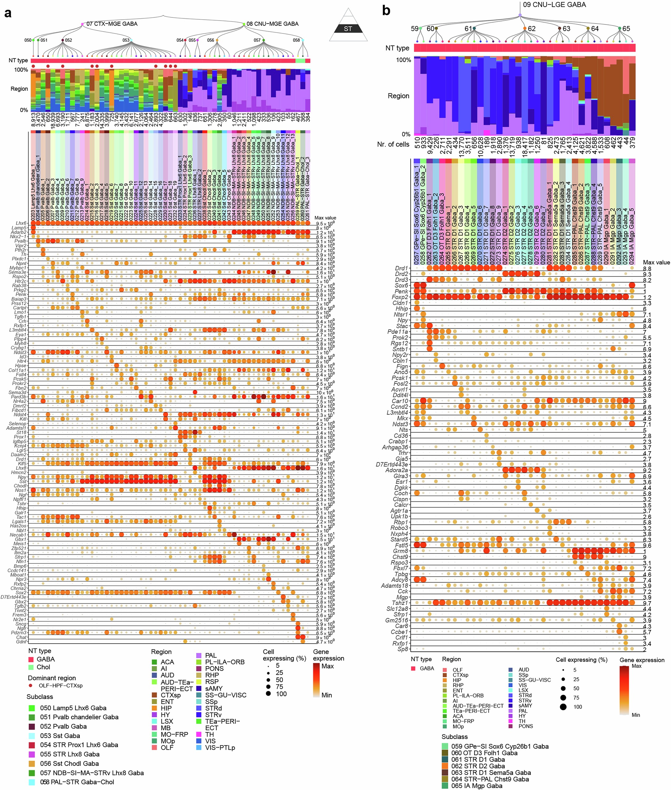 Extended Data Fig. 6: Subclass and supertype marker genes within CTX-MGE, CNU-MGE, and CNU-LGE GABAergic neuronal types.