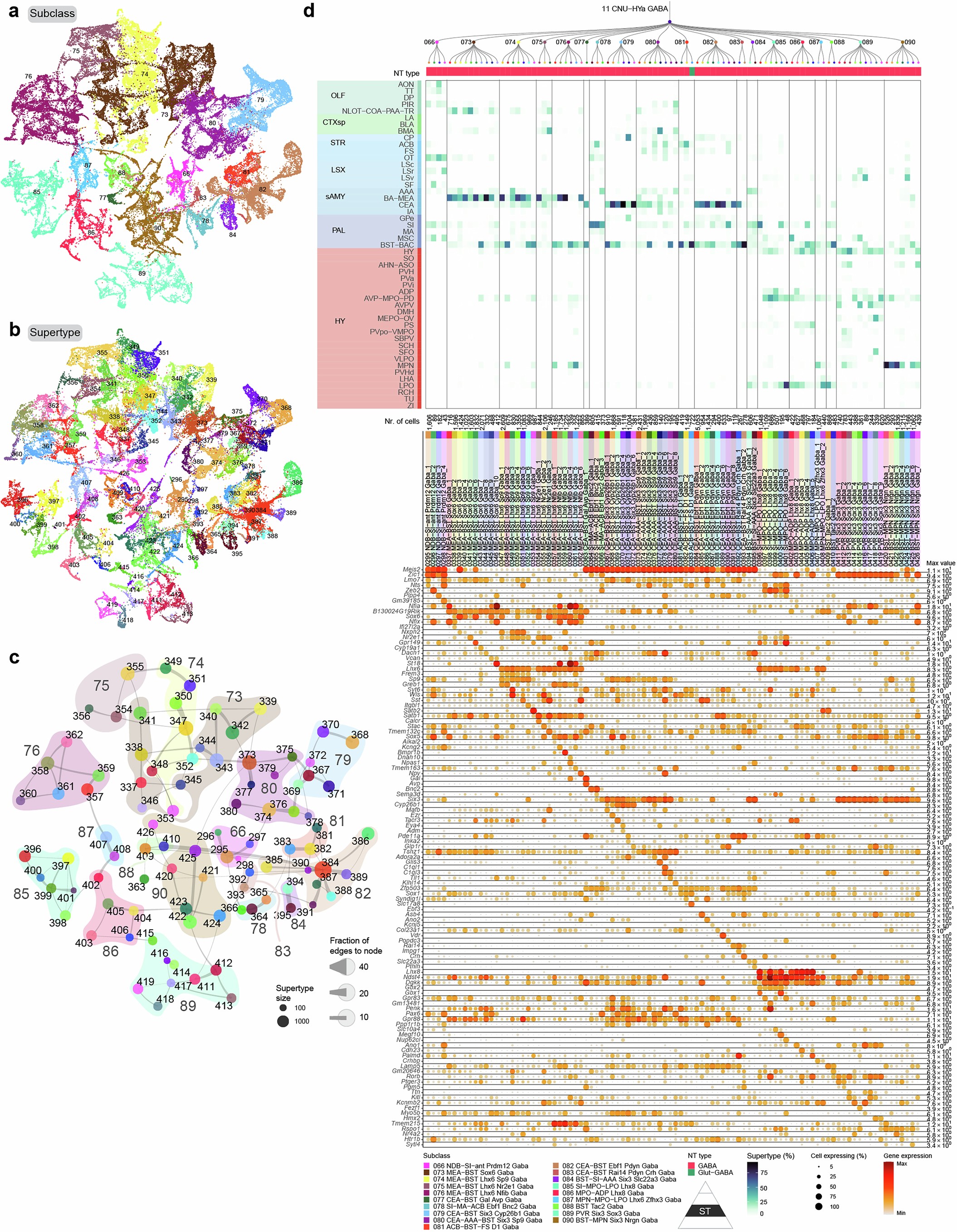 Extended Data Fig. 9: GABAergic cell types of the CNU and anterior hypothalamus (HYa).