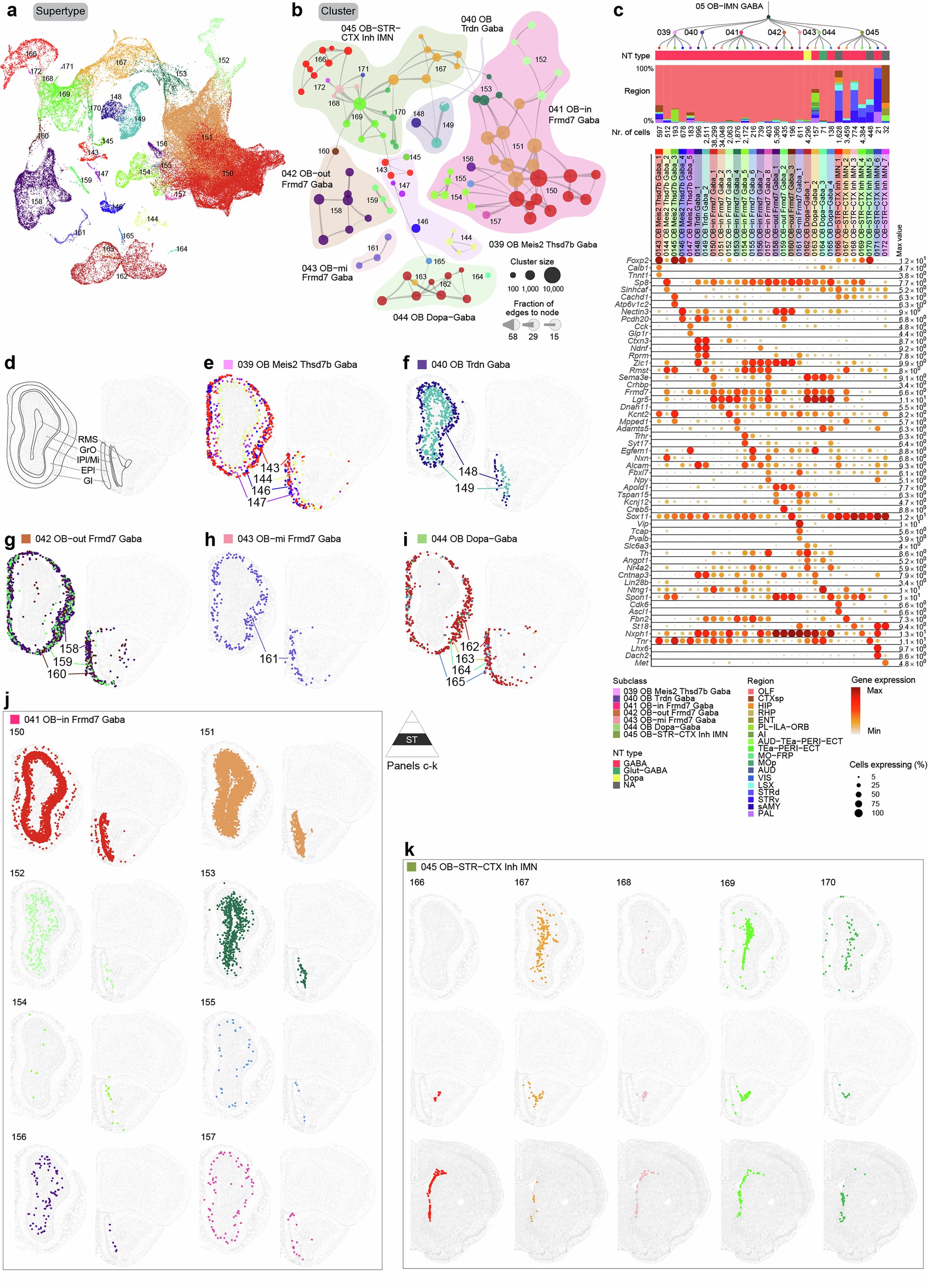 Extended Data Fig. 2: Olfactory bulb GABAergic and immature neuronal cell types.