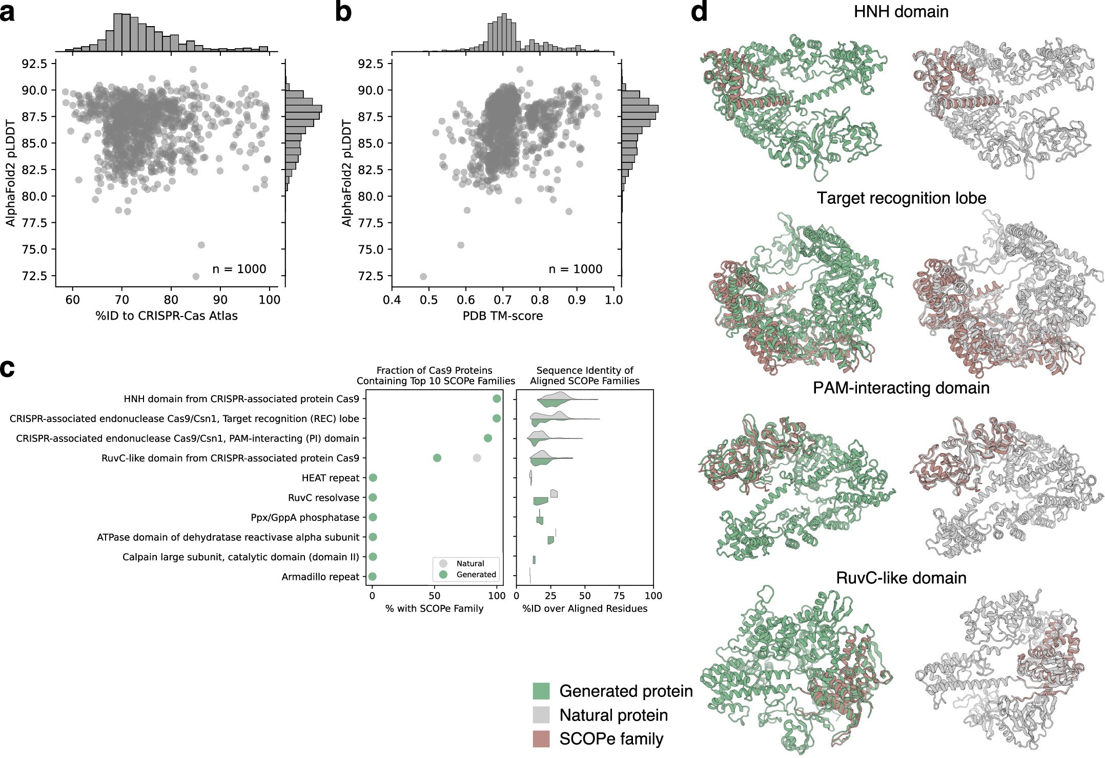 Extended Data Fig. 5: Structural composition of generated Cas9 proteins.