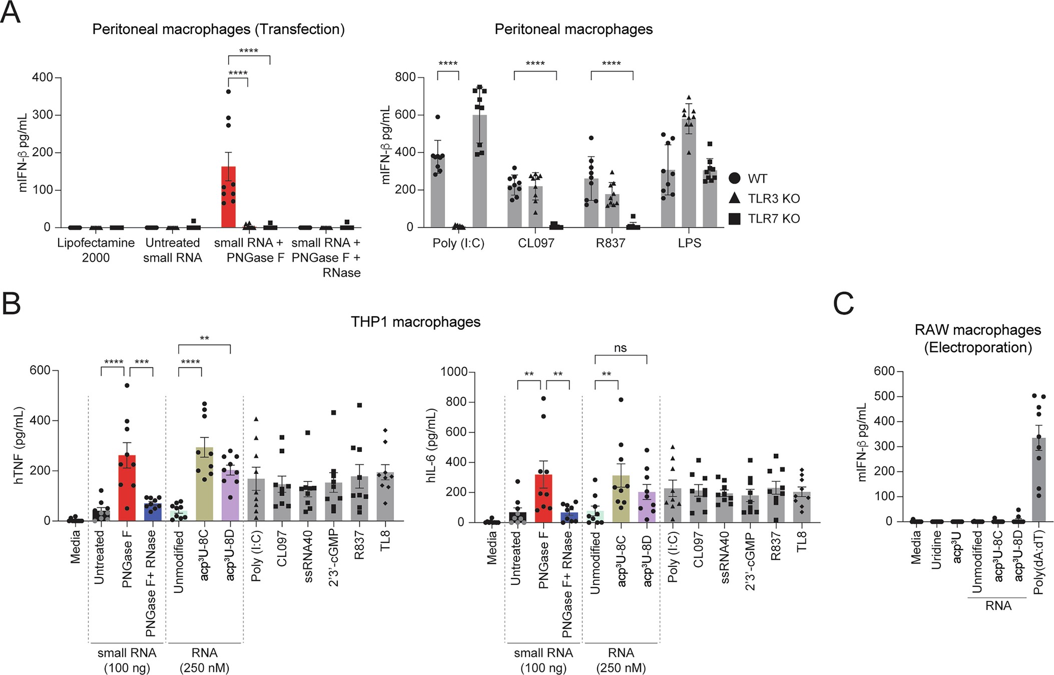 Extended Data Fig. 7: TLR3 and TLR7 sense de-N-glycosylated glycoRNAs.