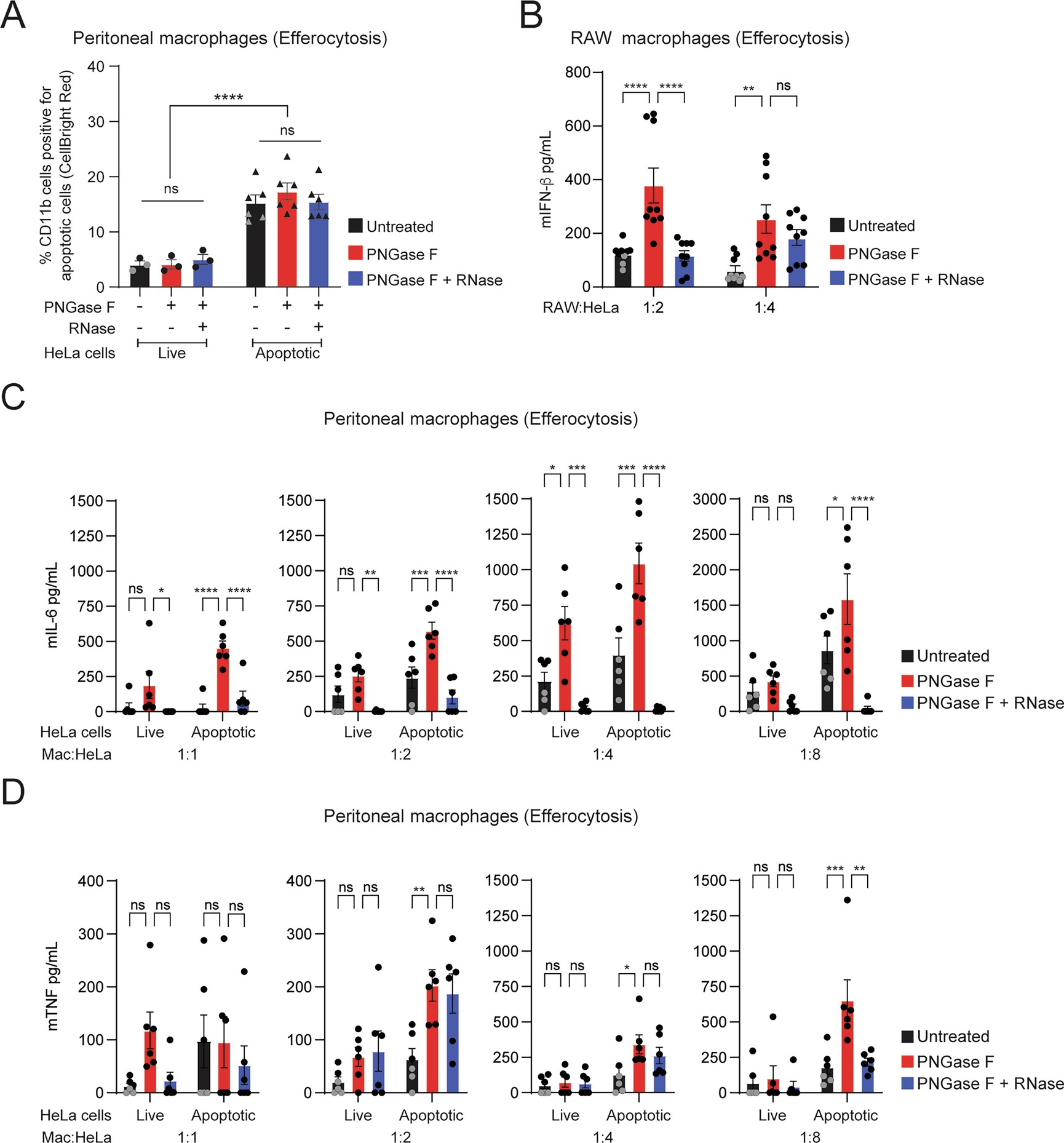 Extended Data Fig. 3: De-N-glycosylation of cell surface RNAs makes apoptotic cells immunostimulatory.