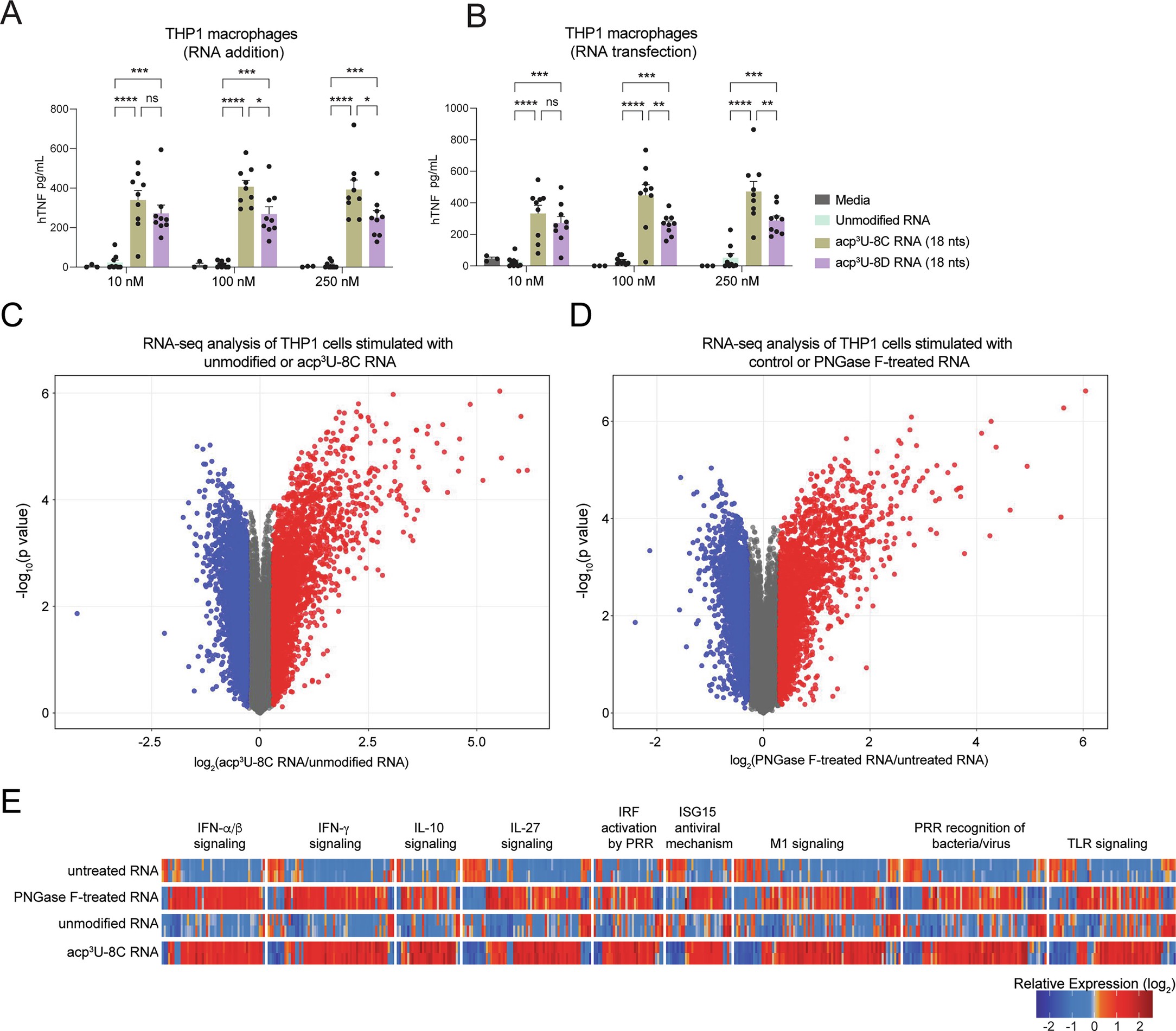 Extended Data Fig. 5: The modified RNA base acp3U stimulates innate immune responses.