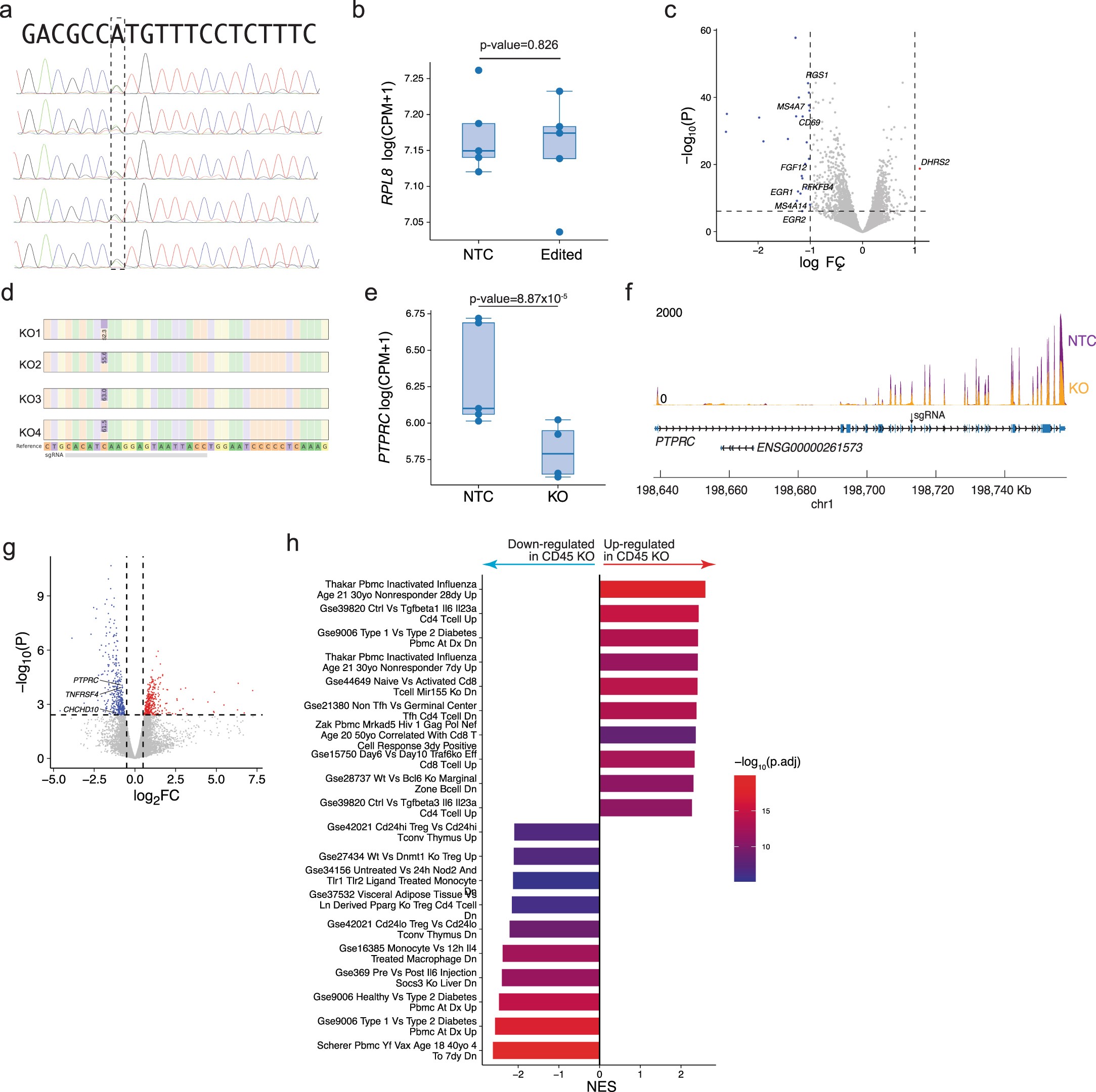 Extended Data Fig. 10: Bulk RNA-seq analysis for RPL8 eQTL and PTPRC KO.