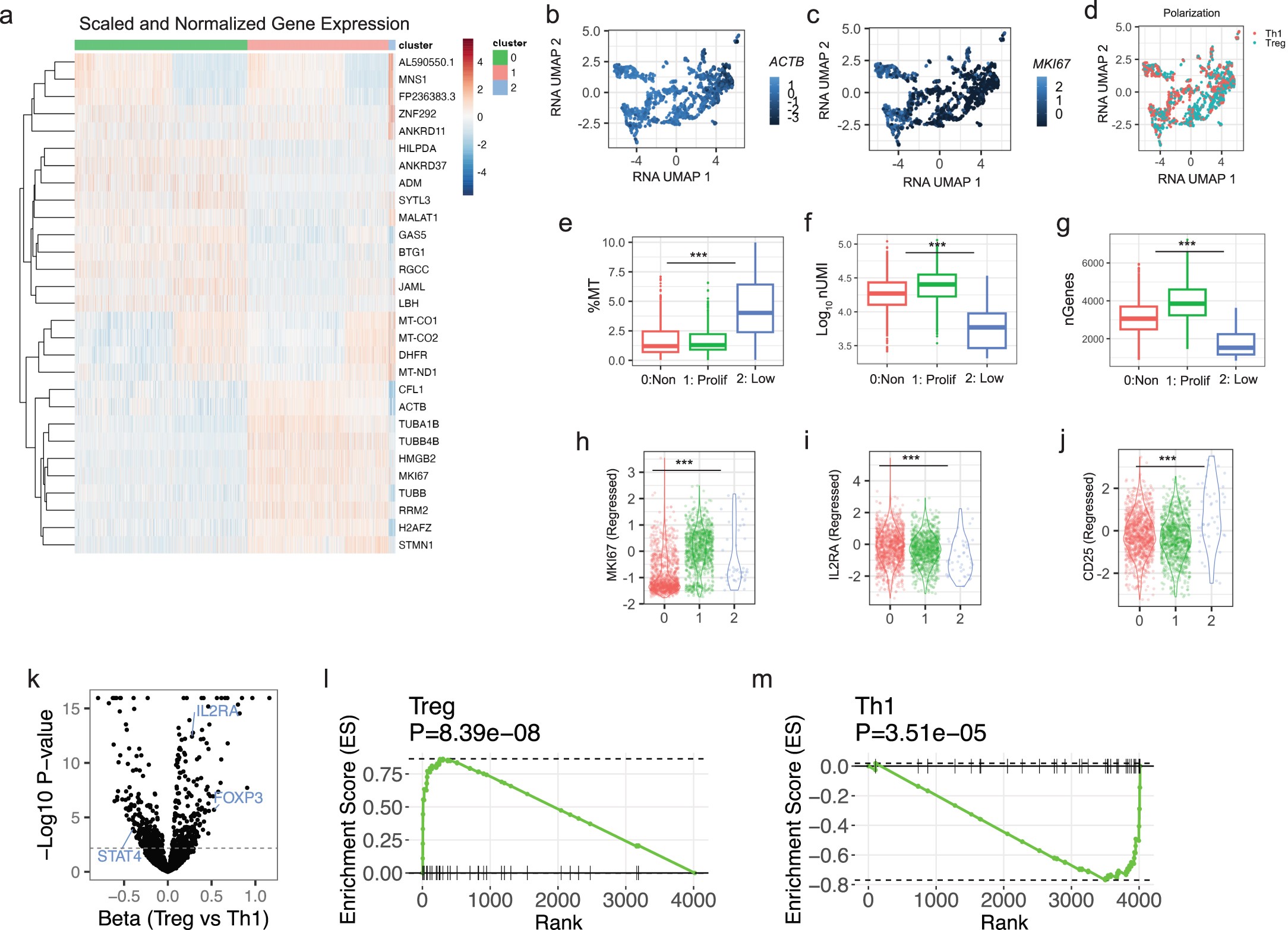 Extended Data Fig. 11: Clustering of IL2RA variant edited cells identifies two clusters separated by proliferation status.