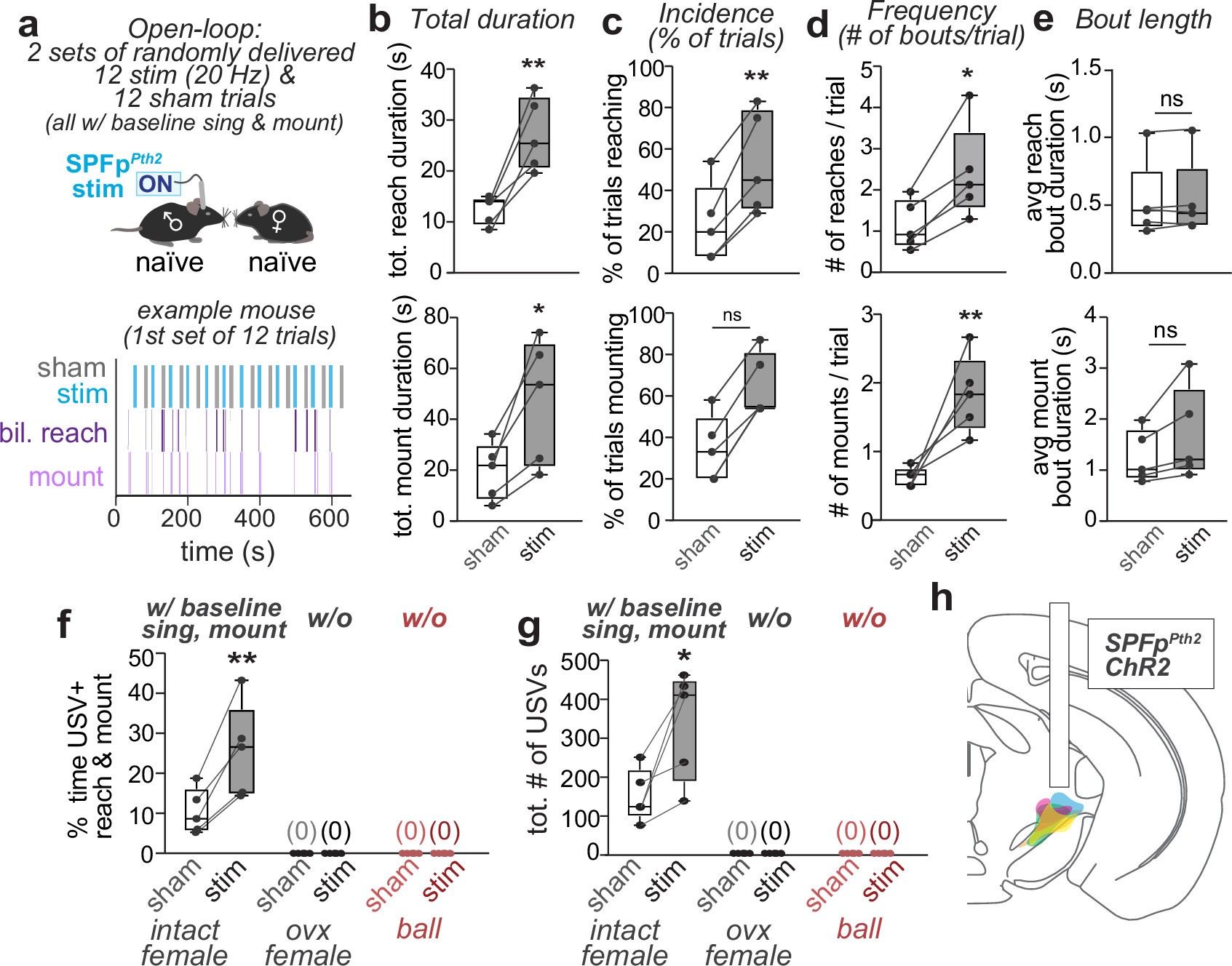 Extended Data Fig. 7: SPFpPth2 neurons promote the initiation of consummatory behaviors in an ongoing mating interaction.