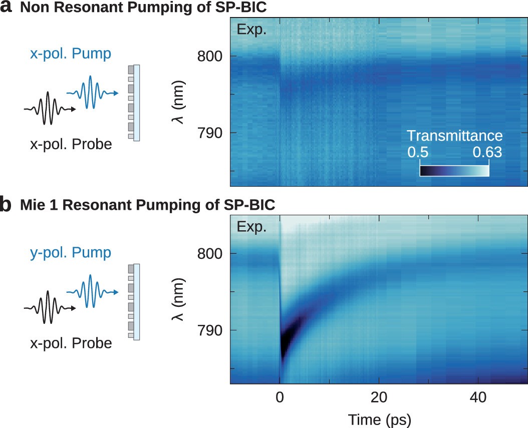 Extended Data Fig. 6