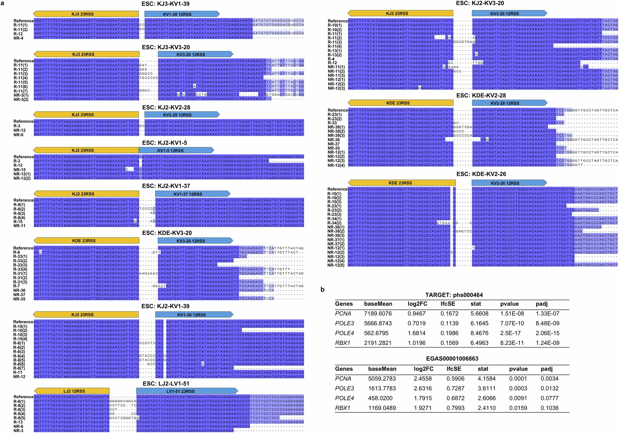 Extended Data Fig. 5: ESC sequences are identical regardless of subsequent relapse.