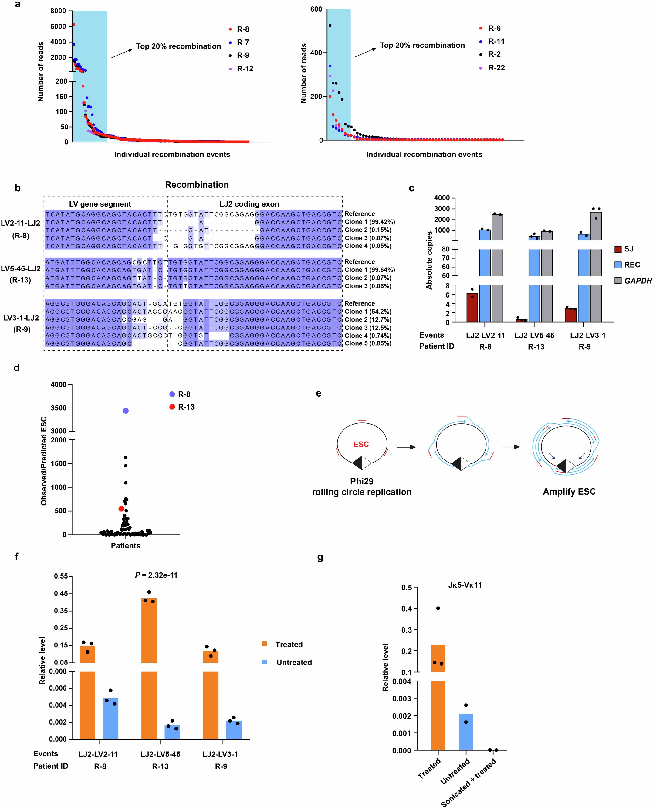 Extended Data Fig. 7: Clonotype analyses imply ESCs persist from early recombination events.