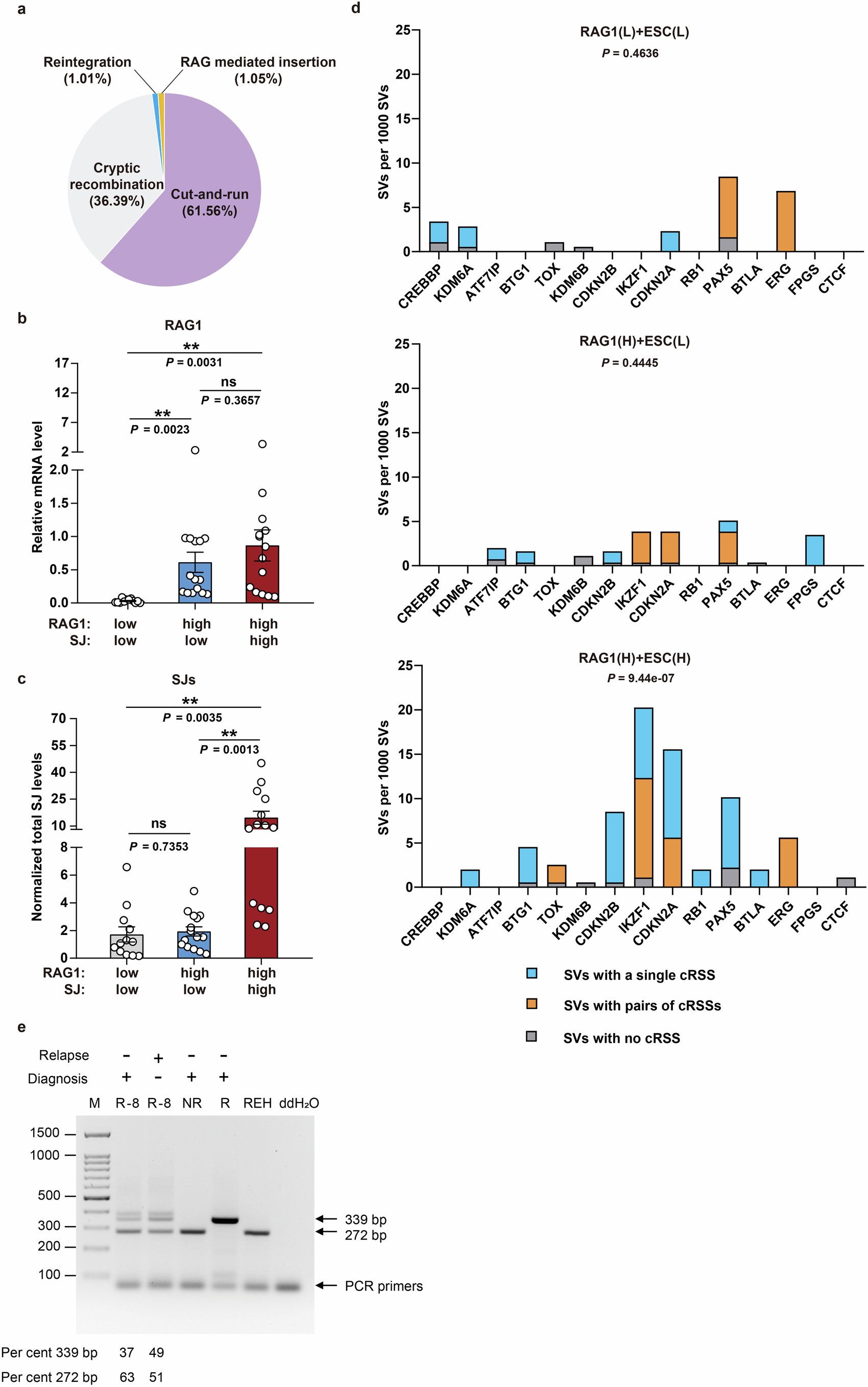 Extended Data Fig. 9: Increased mutations at relapse-associated genes correlate with high ESC levels.