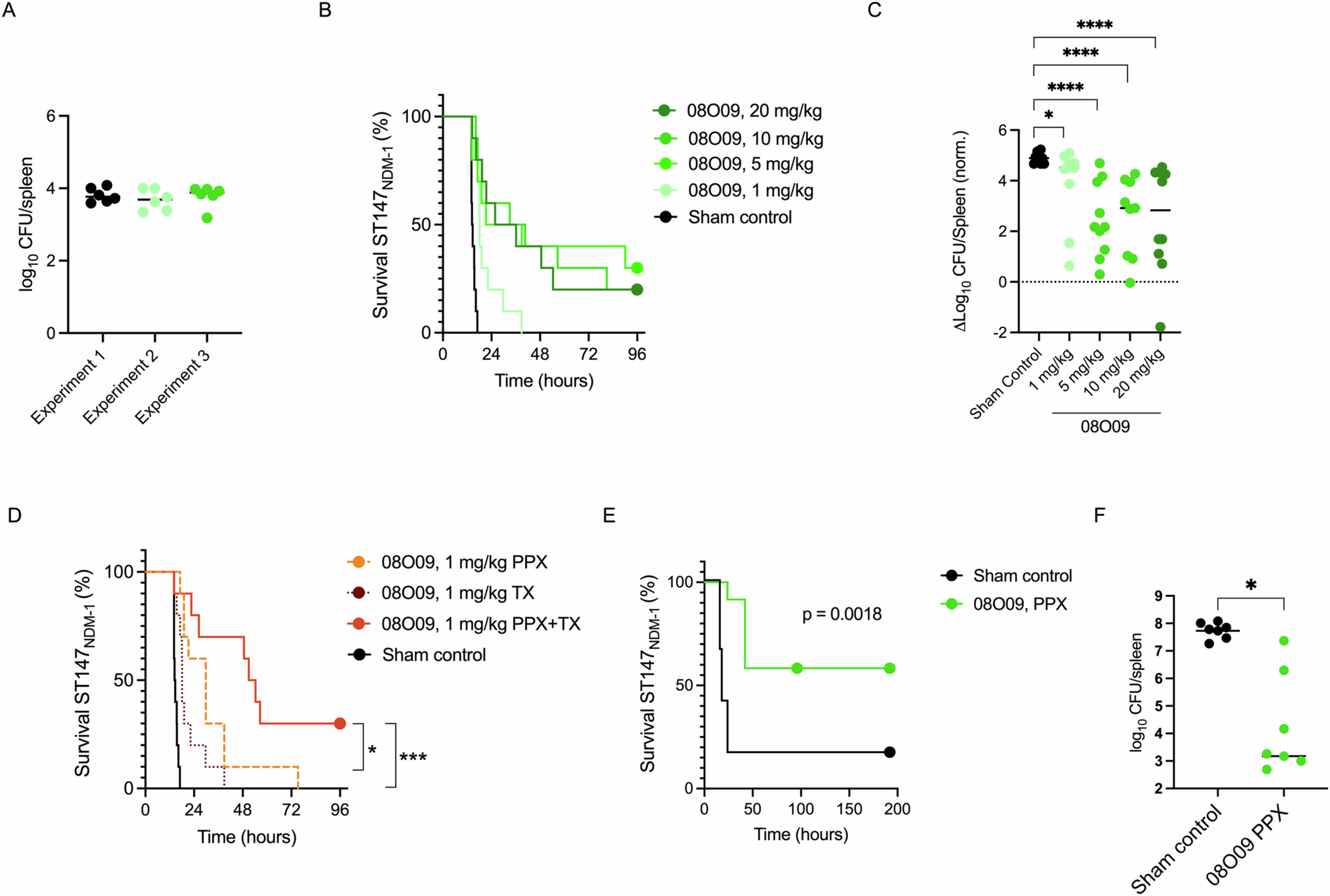 Extended Data Fig. 11: Evaluation of the in vivo therapeutic and combined efficacy of 08O09, 05D08 and 05N02 mAbs in immunocompetent ST147NDM-1 bacteremia model, related to Fig. 5.