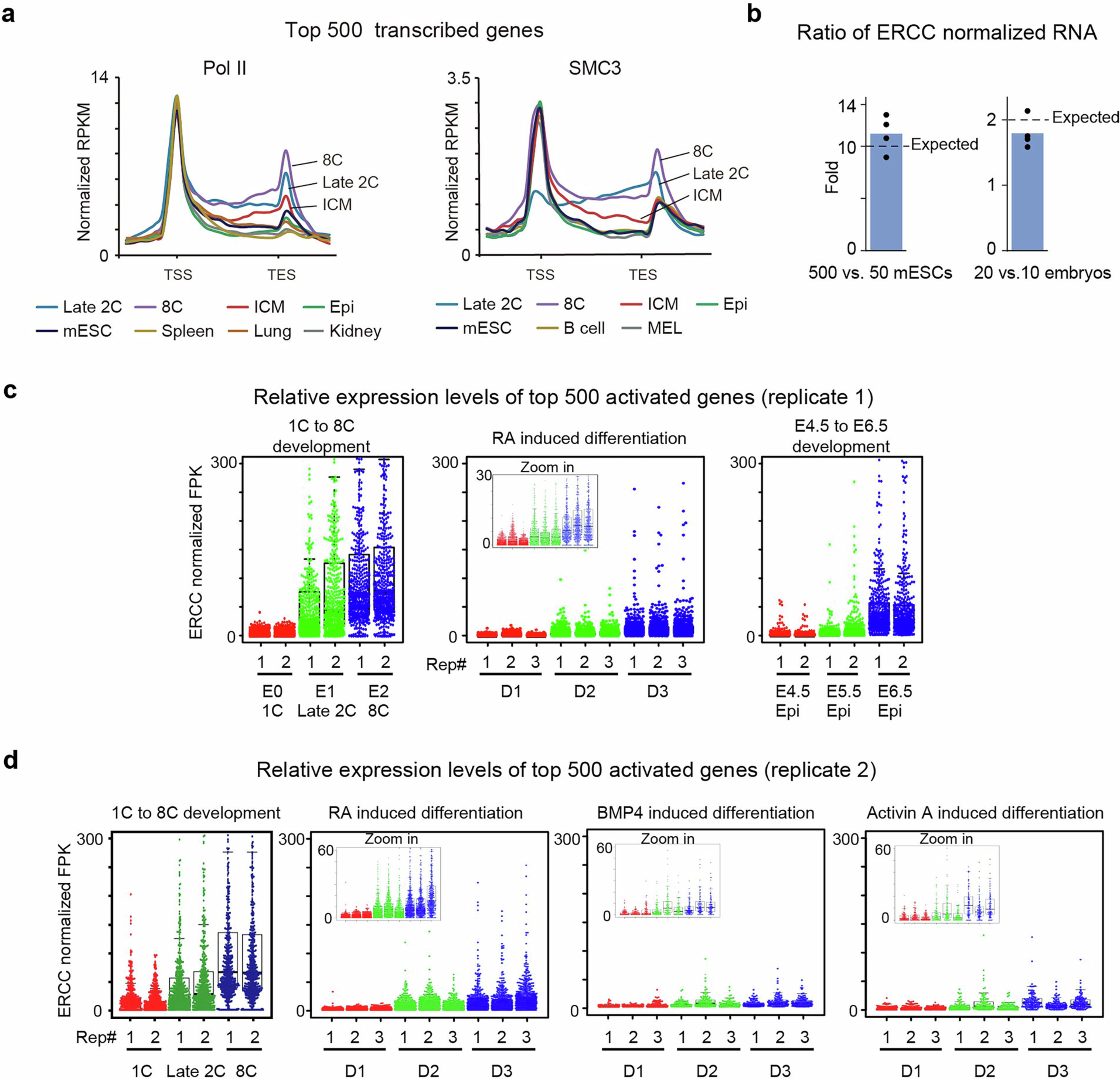 Extended Data Fig. 5: Hypertranscription in mouse early embryos.