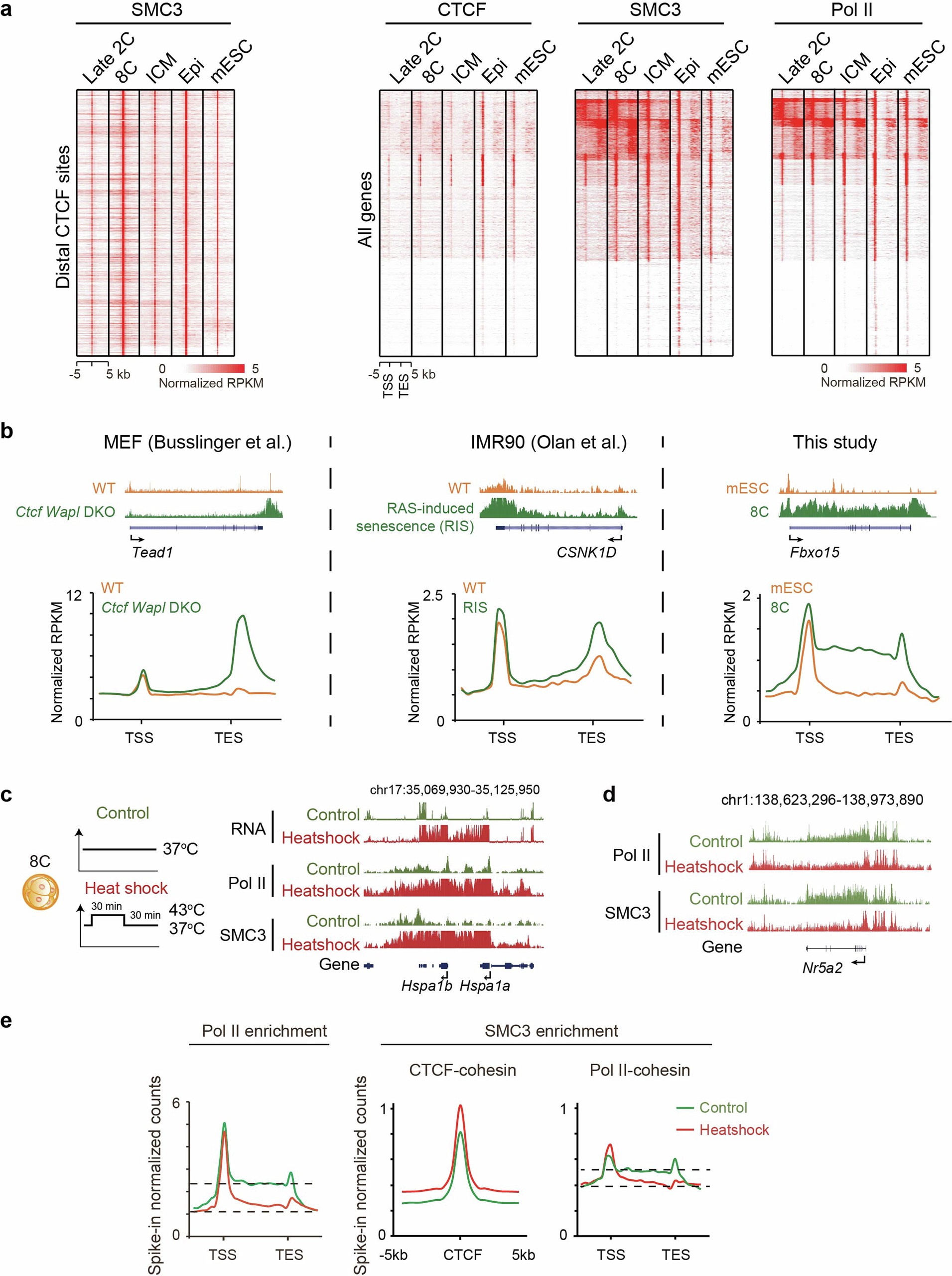 Extended Data Fig. 4: Relationship of GCIs and transcription.