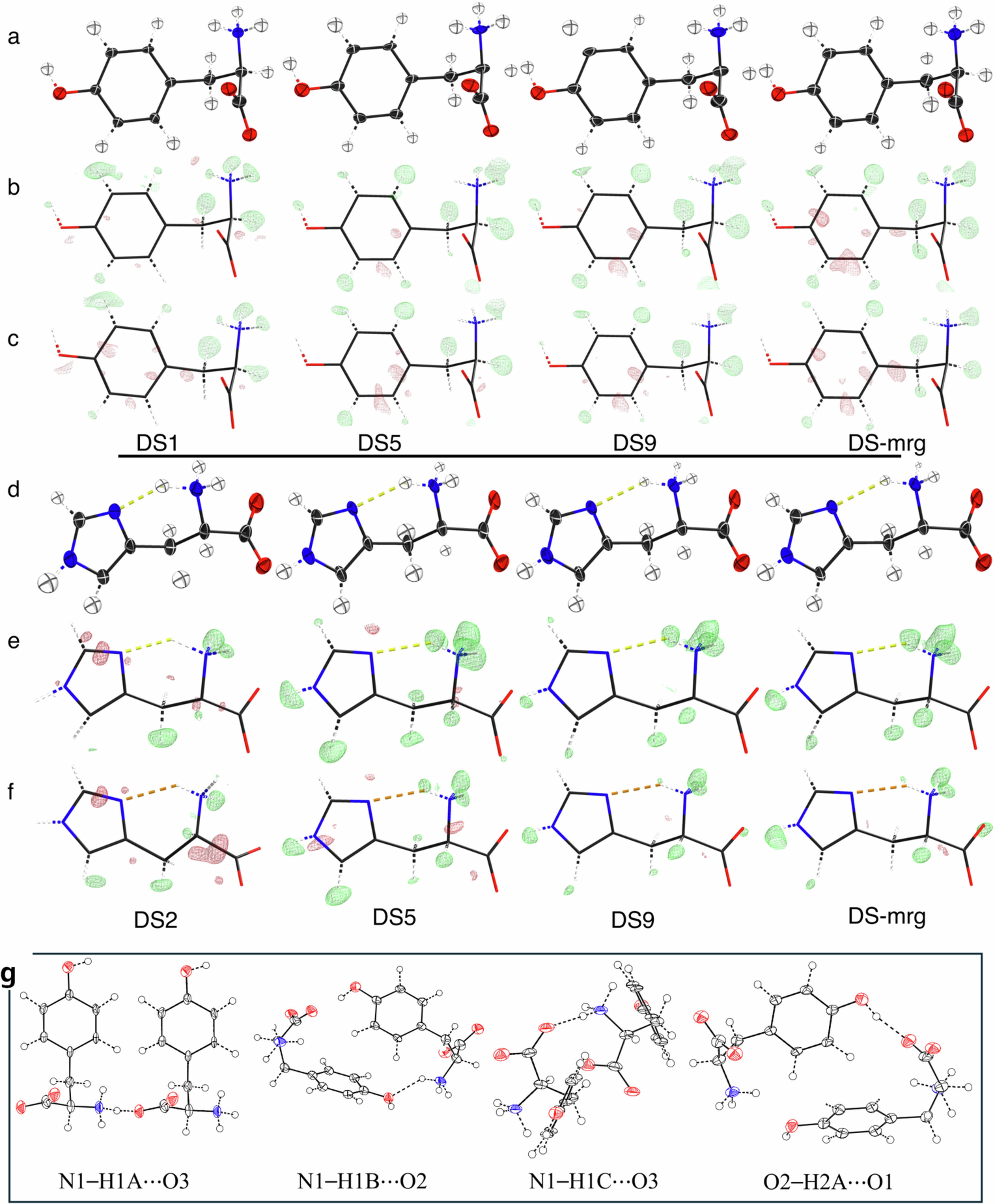 Extended Data Fig. 9: iSFAC modelling enhances hydrogen signal.