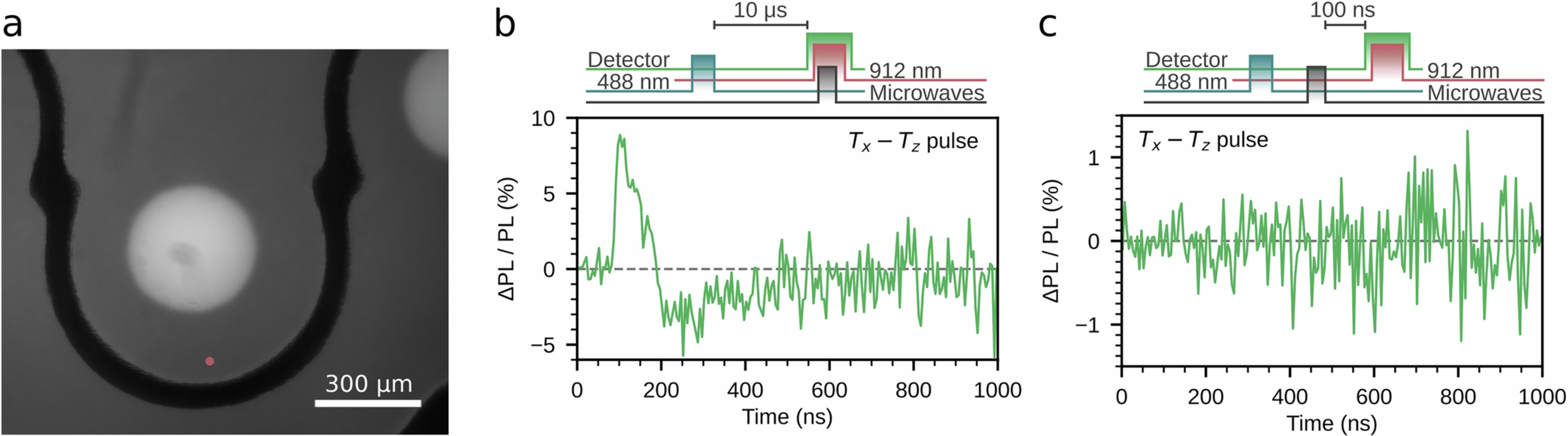 Extended Data Fig. 12