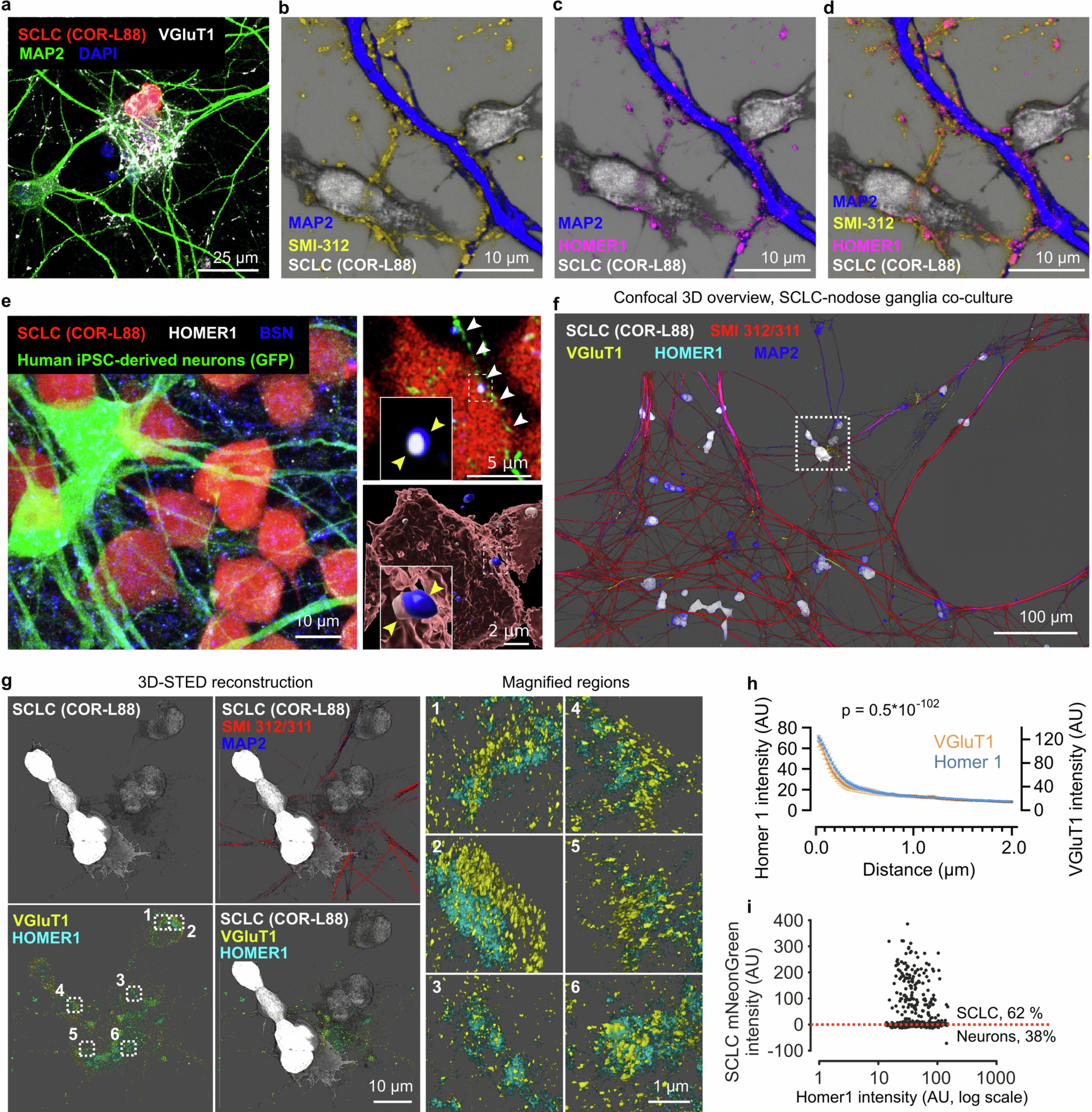 Extended Data Fig. 6
