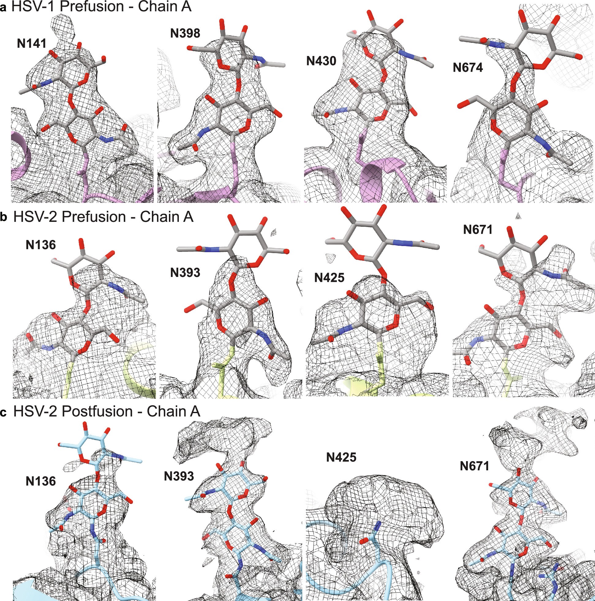 Extended Data Fig. 7: Density fits of modelled glycosylations.