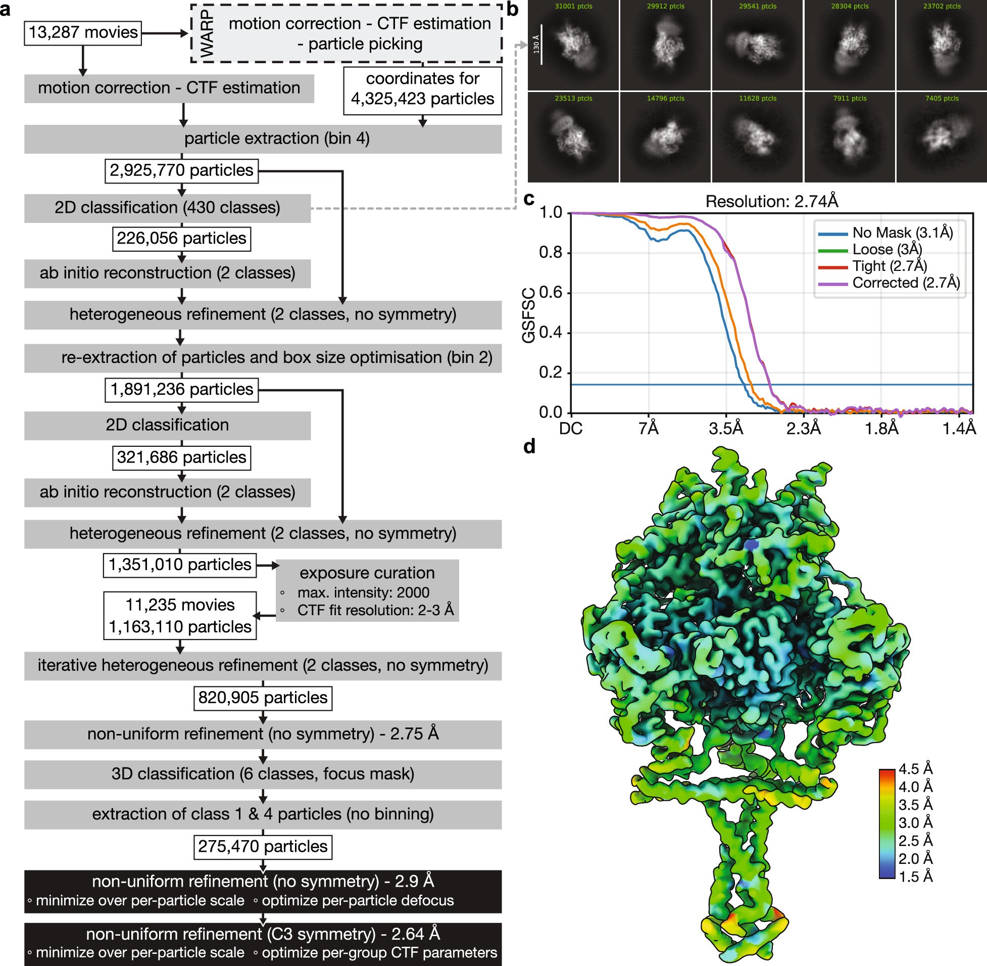 Extended Data Fig. 2: The full-length prefusion structure of gB.