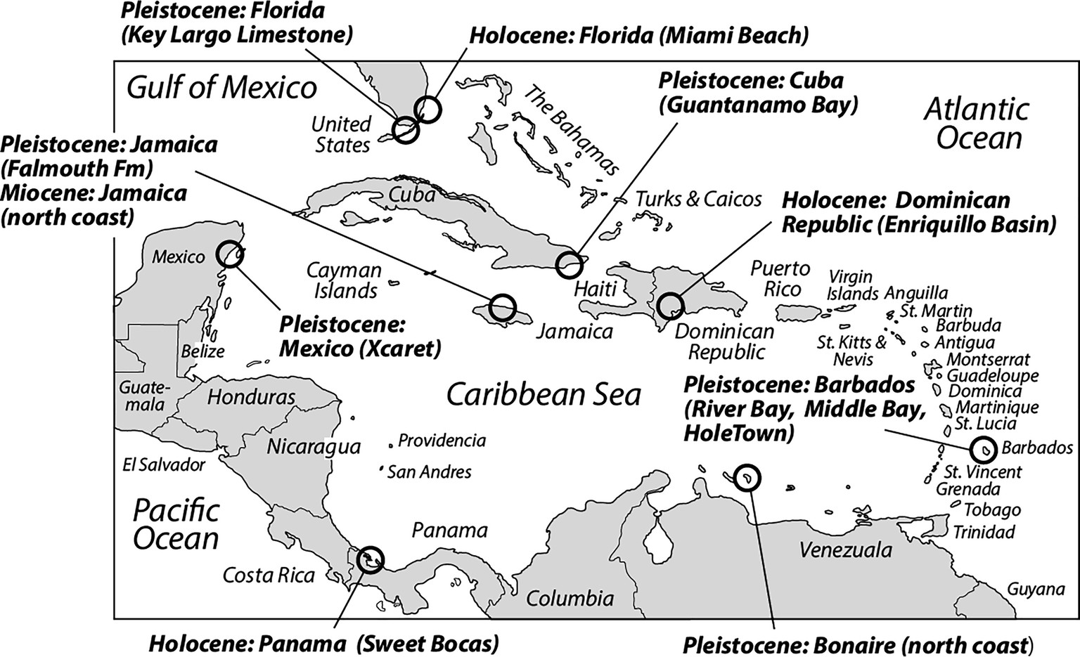 Extended Data Fig. 1: Locations of reef deposits analysed to assess framework porosity values.