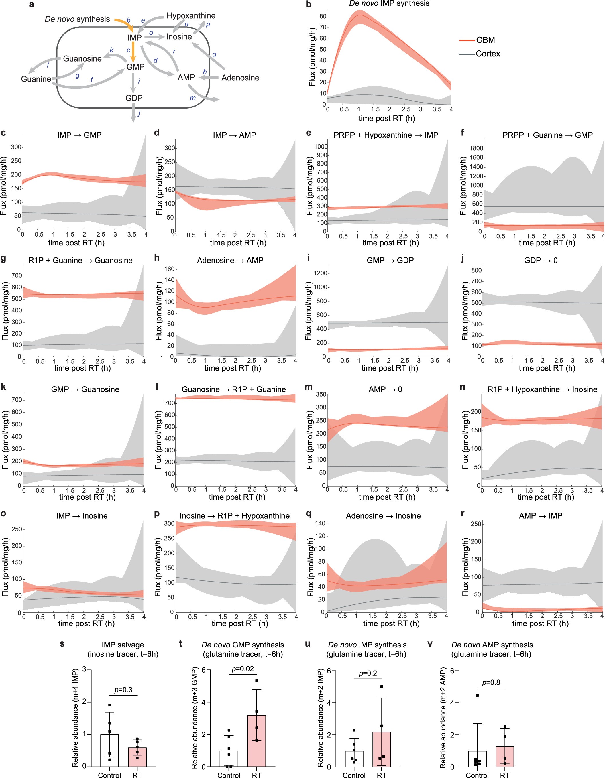 Extended Data Fig. 7: Dynamic metabolic response to radiation therapy in GBM and cortex.