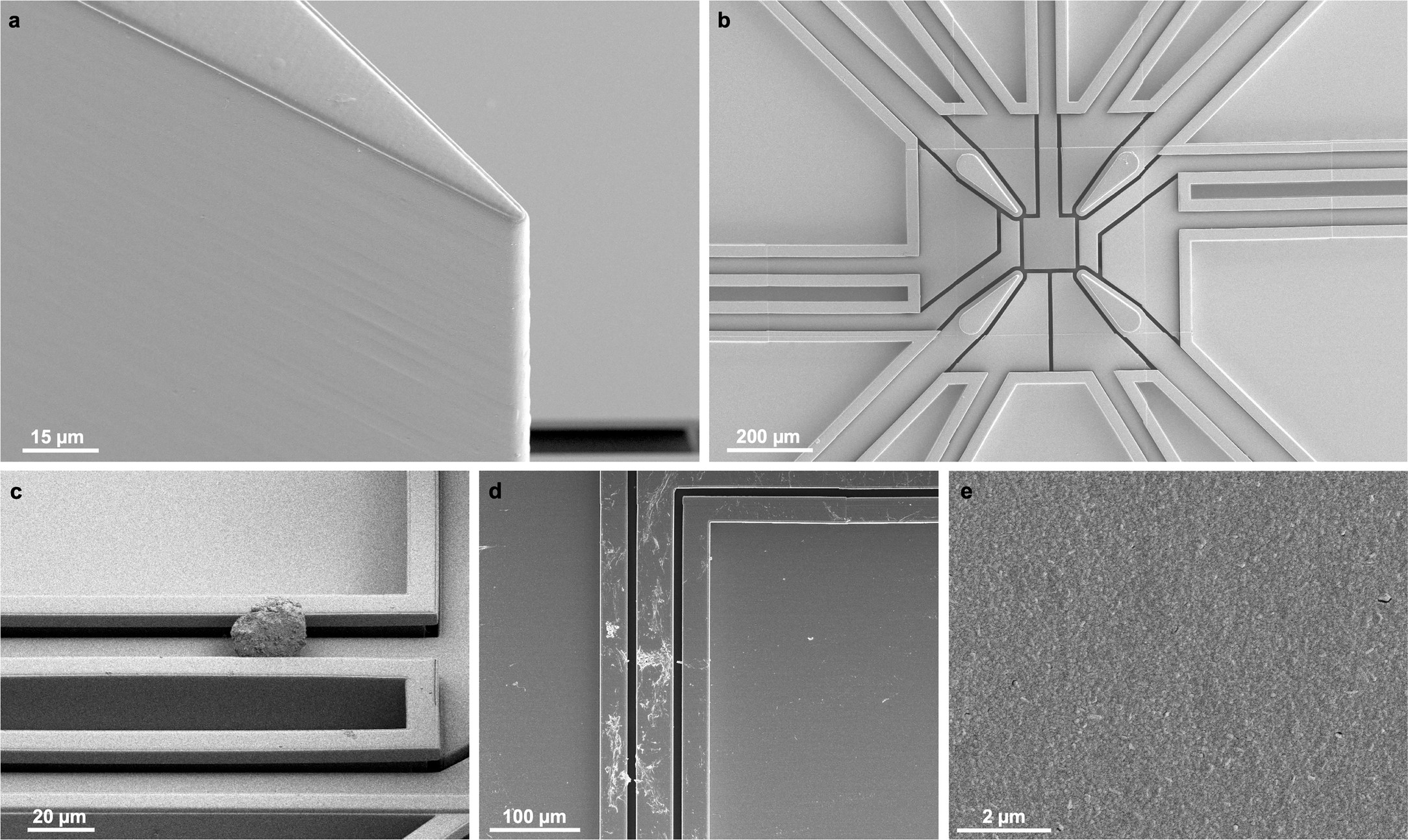 Extended Data Fig. 4: SEM images of fabrication defects.