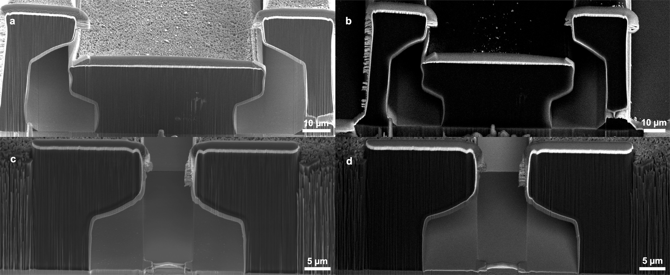 Extended Data Fig. 7: FIB SEM cross-sections of two trench designs used in trap 3D-100-Au-V.