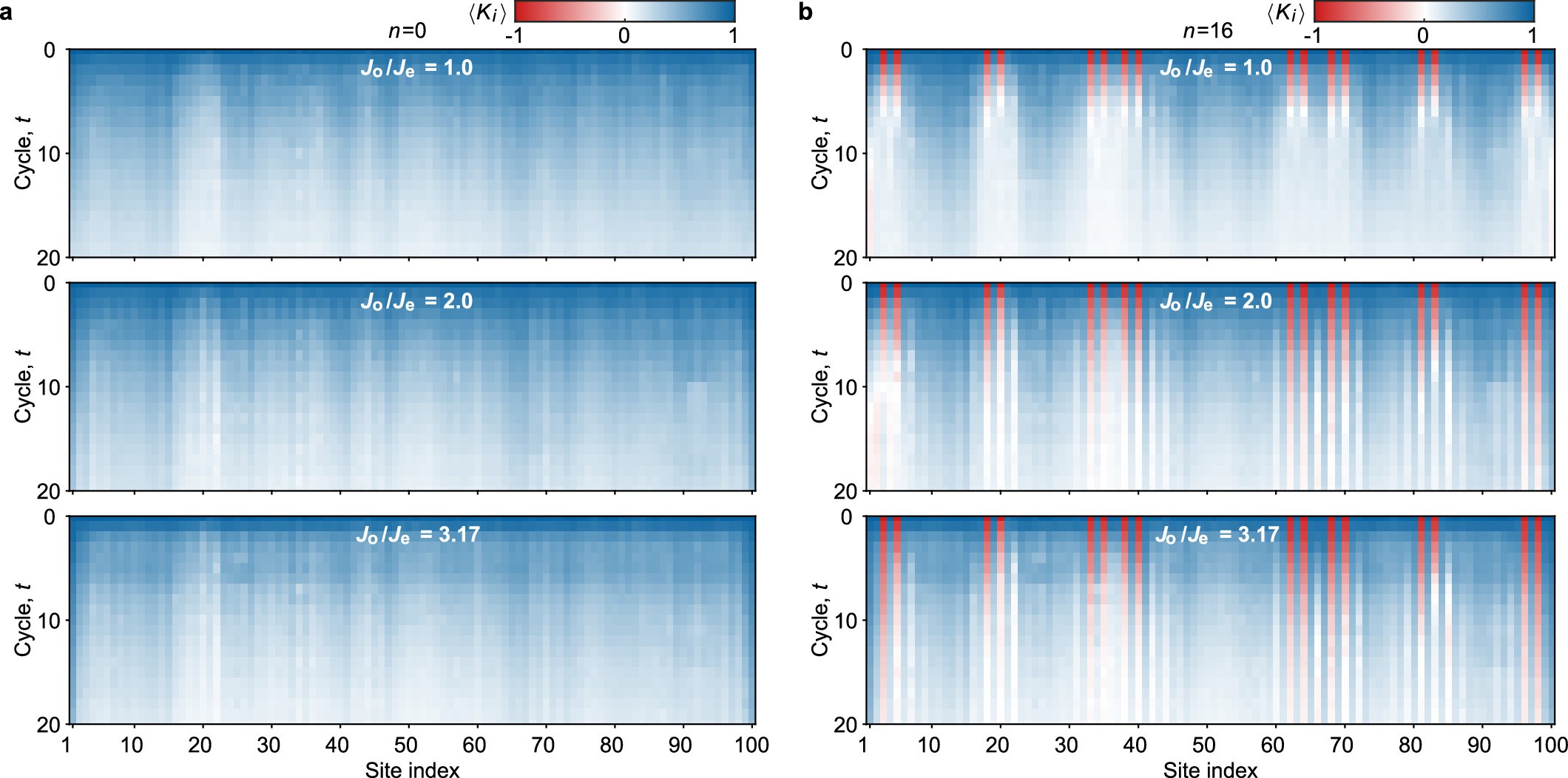 Extended Data Fig. 5: Raw data of excitation dynamics.