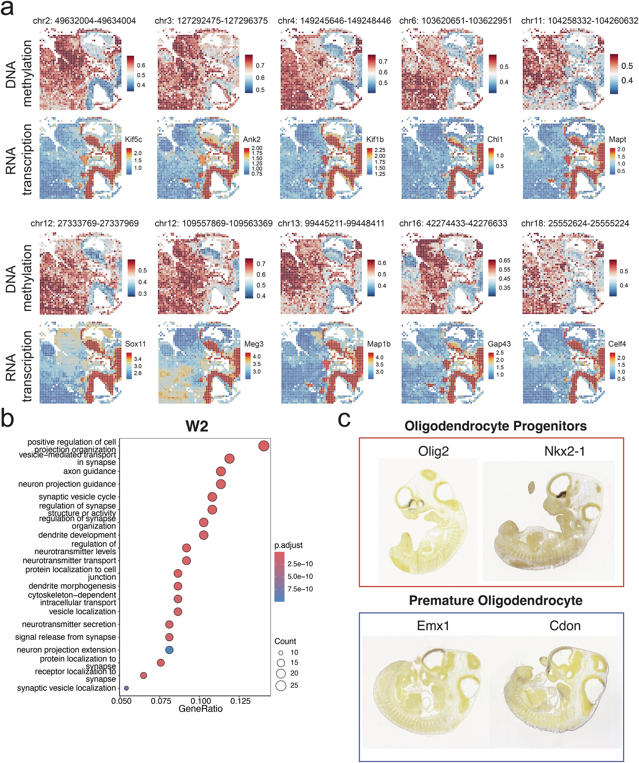 Extended Data Fig. 5