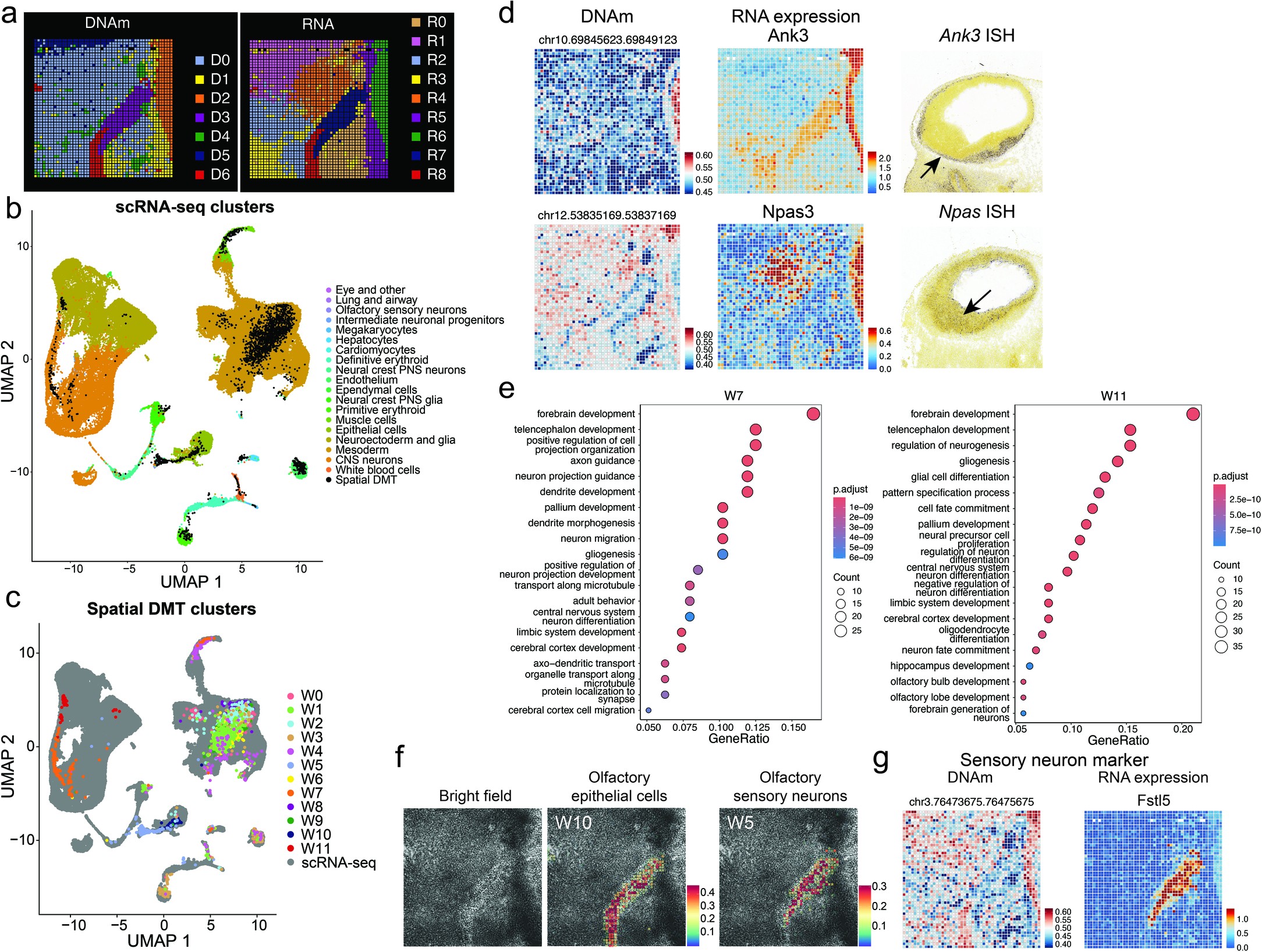 Extended Data Fig. 8