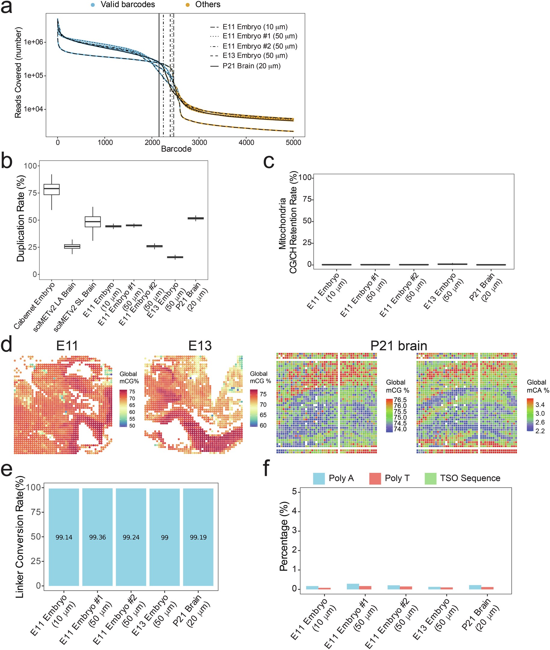 Extended Data Fig. 3: Quality control metrics for Spatial-DMT datasets.