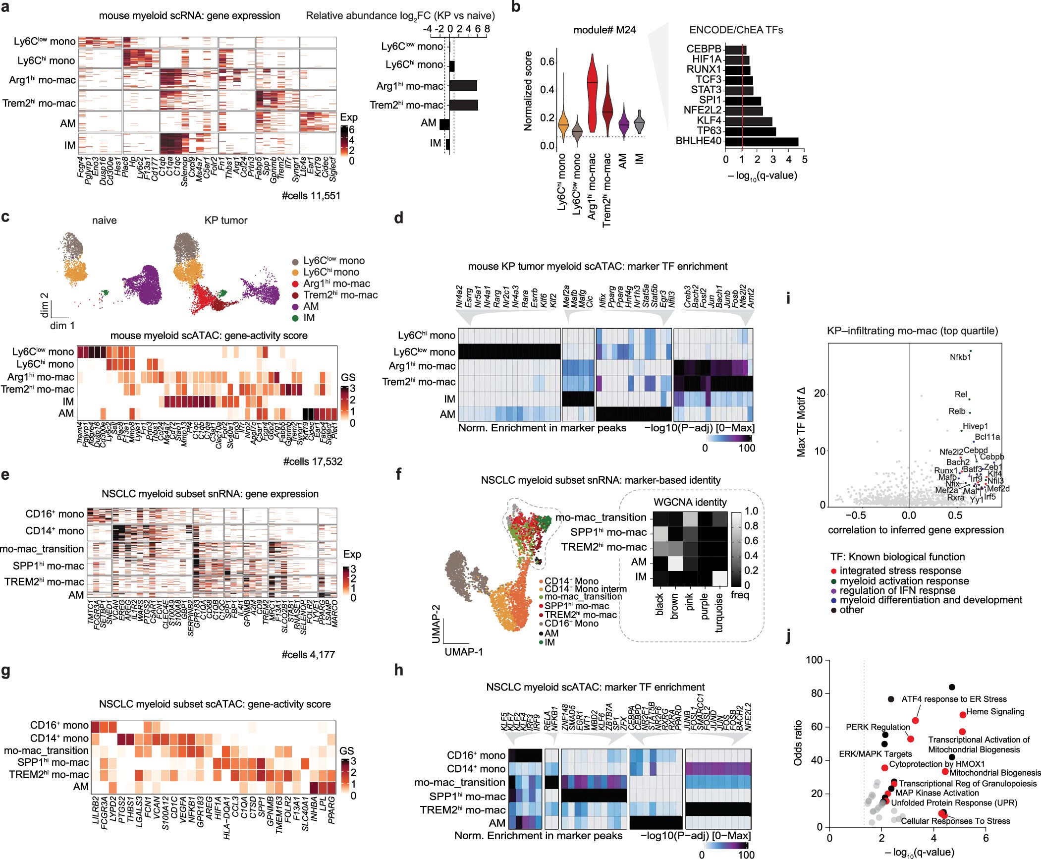 Extended Data Fig. 4