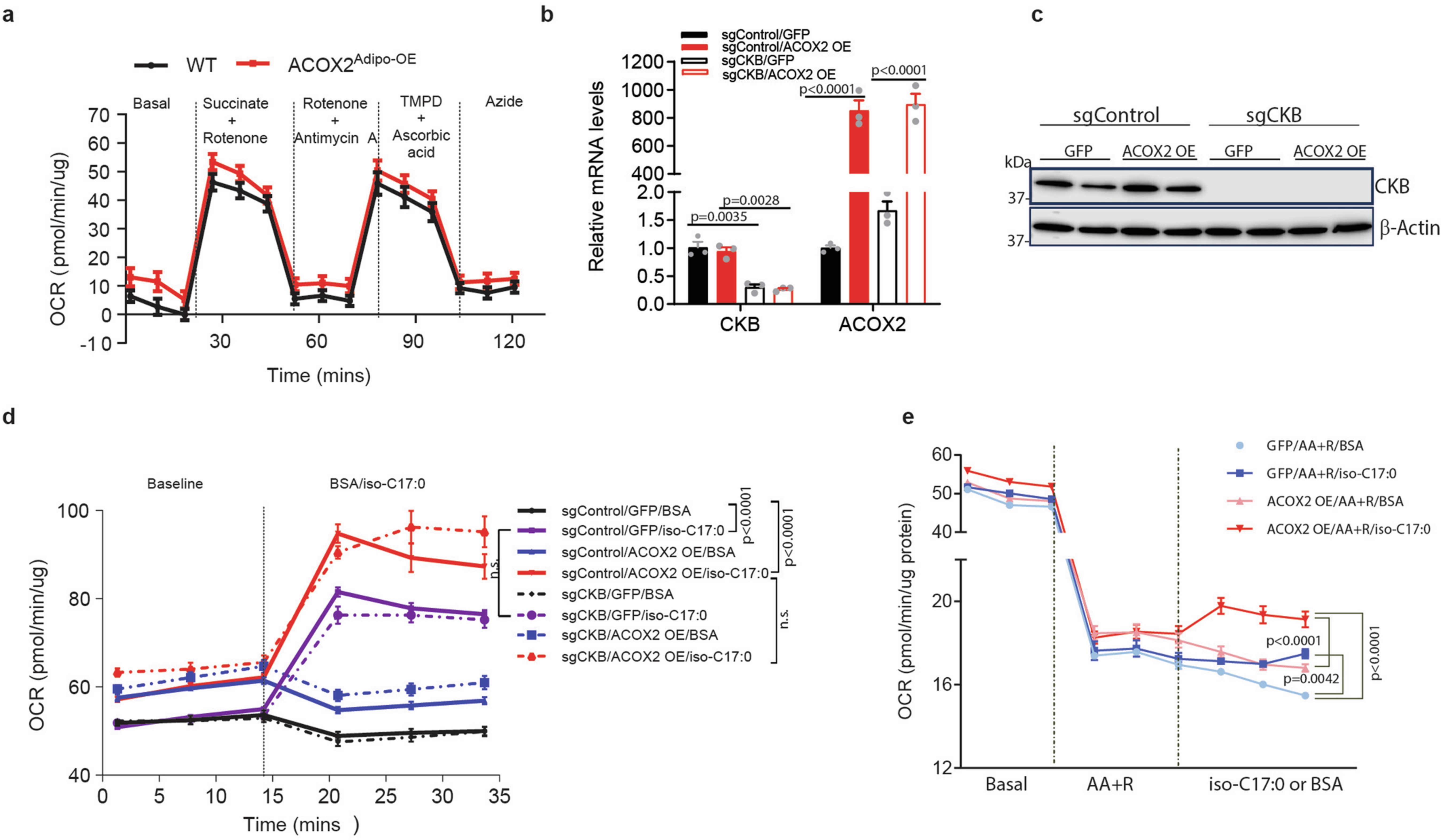 Extended Data Fig. 8