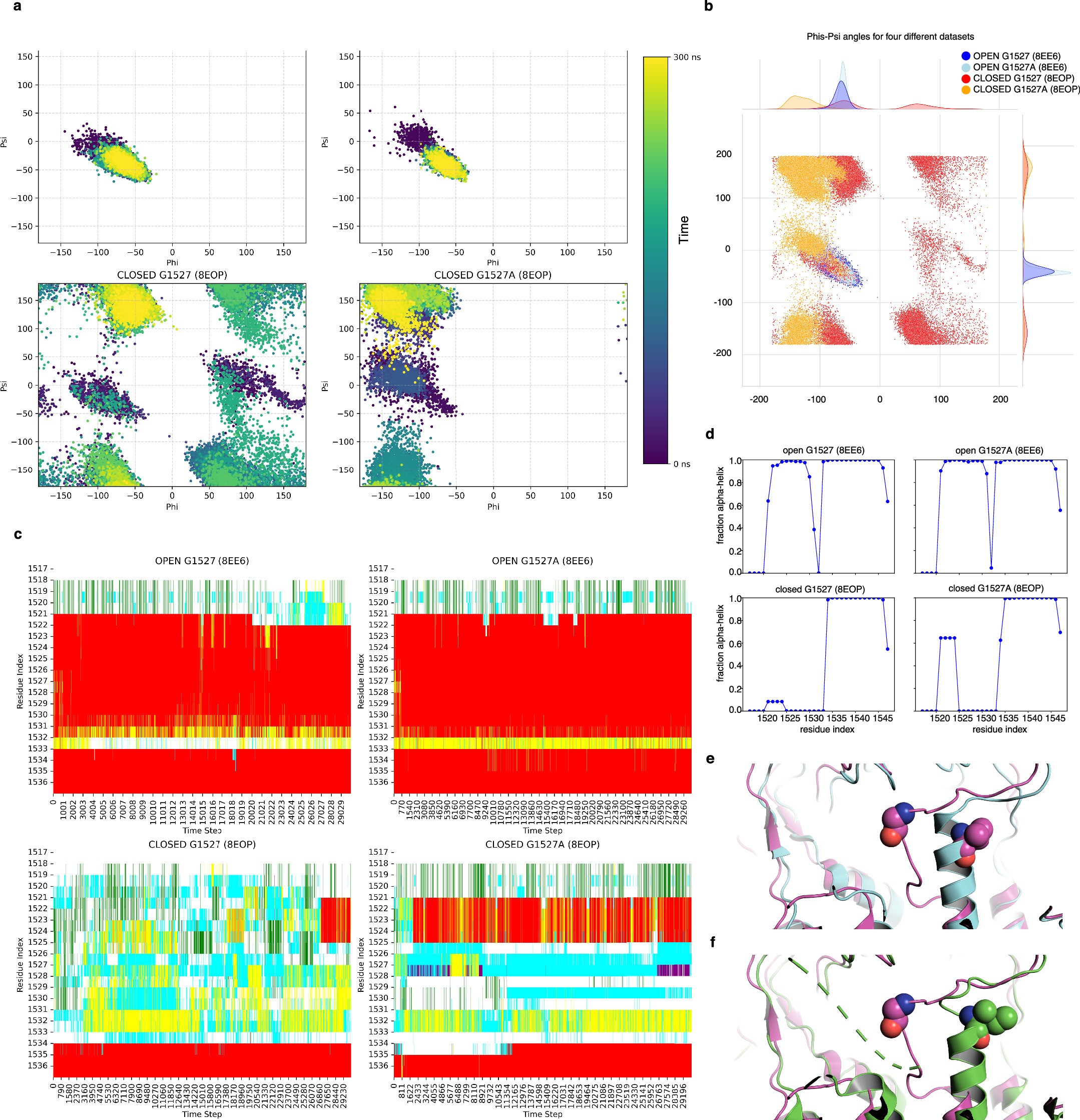 Extended Data Fig. 7: Local conformational fluctuations and secondary structure changes induced by the p.Ala1527Gly substitution in ABCA7 open and closed conformations.