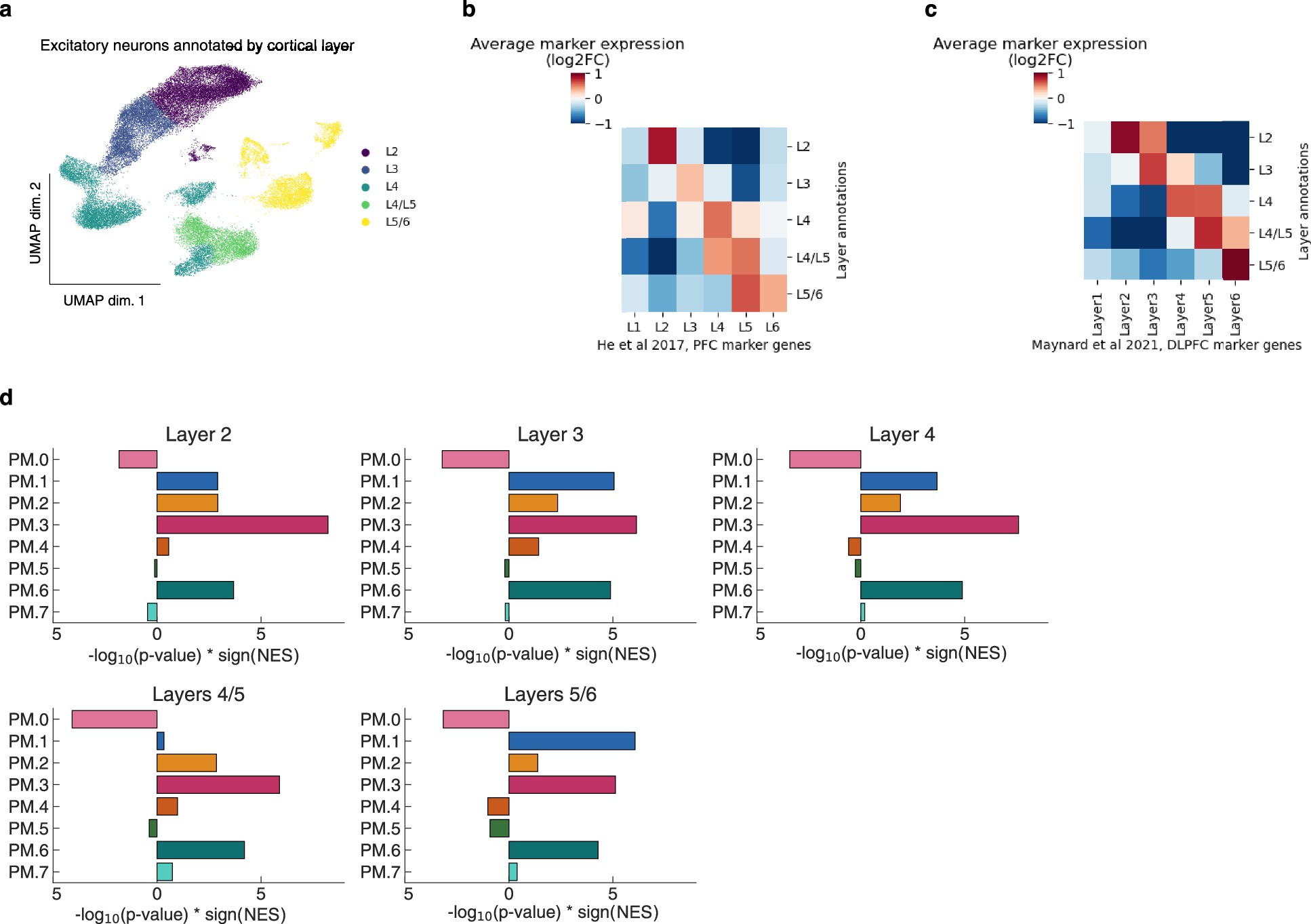 Extended Data Fig. 5: Annotation of excitatory neurons from postmortem snRNA-seq dataset by cortical layer.