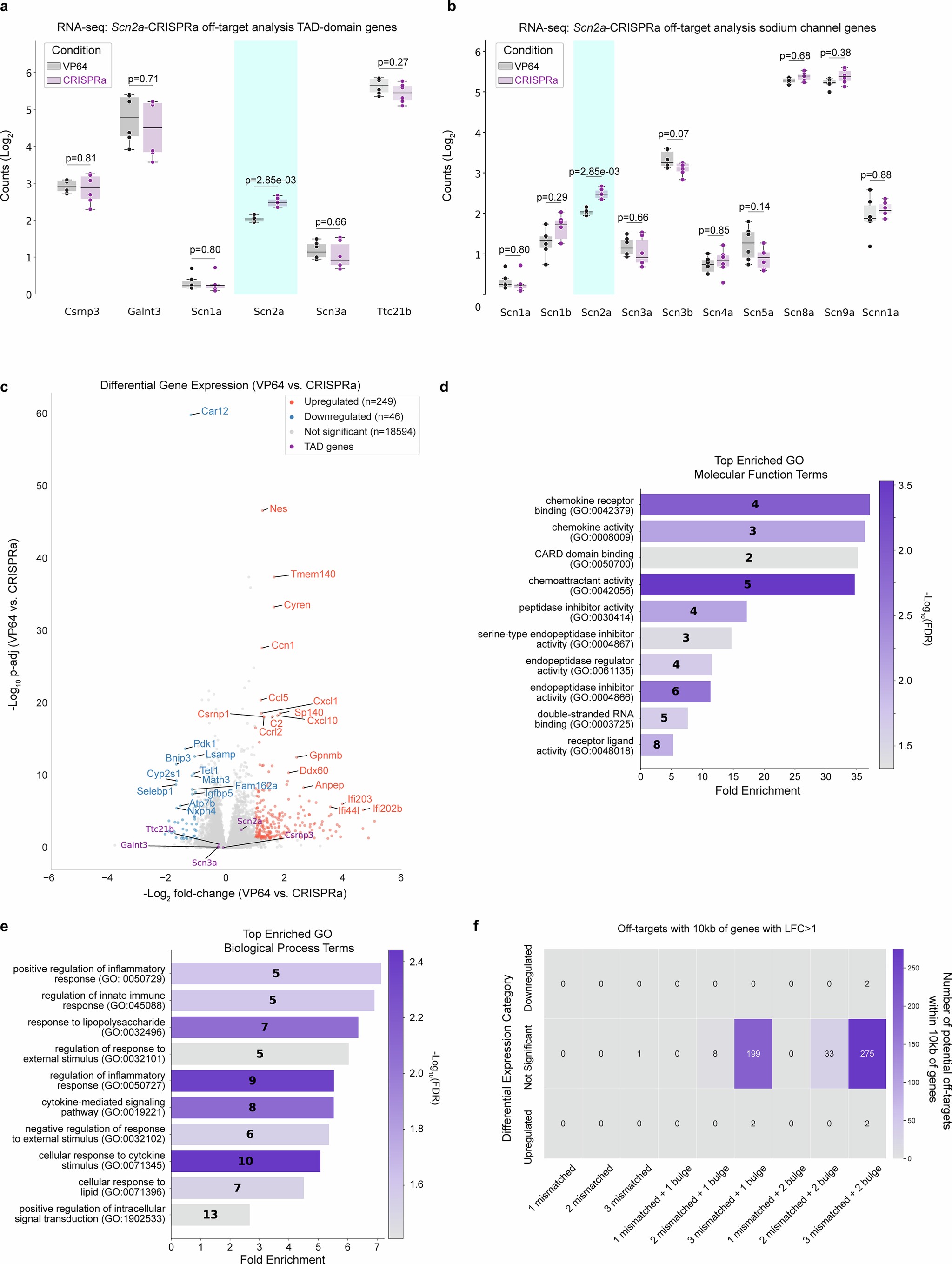 Extended Data Fig. 3: Scn2a-CRISPRa off-target analysis in cell lines.